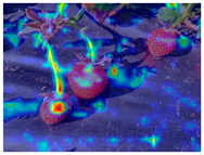 Agronomy 15 02226 i026