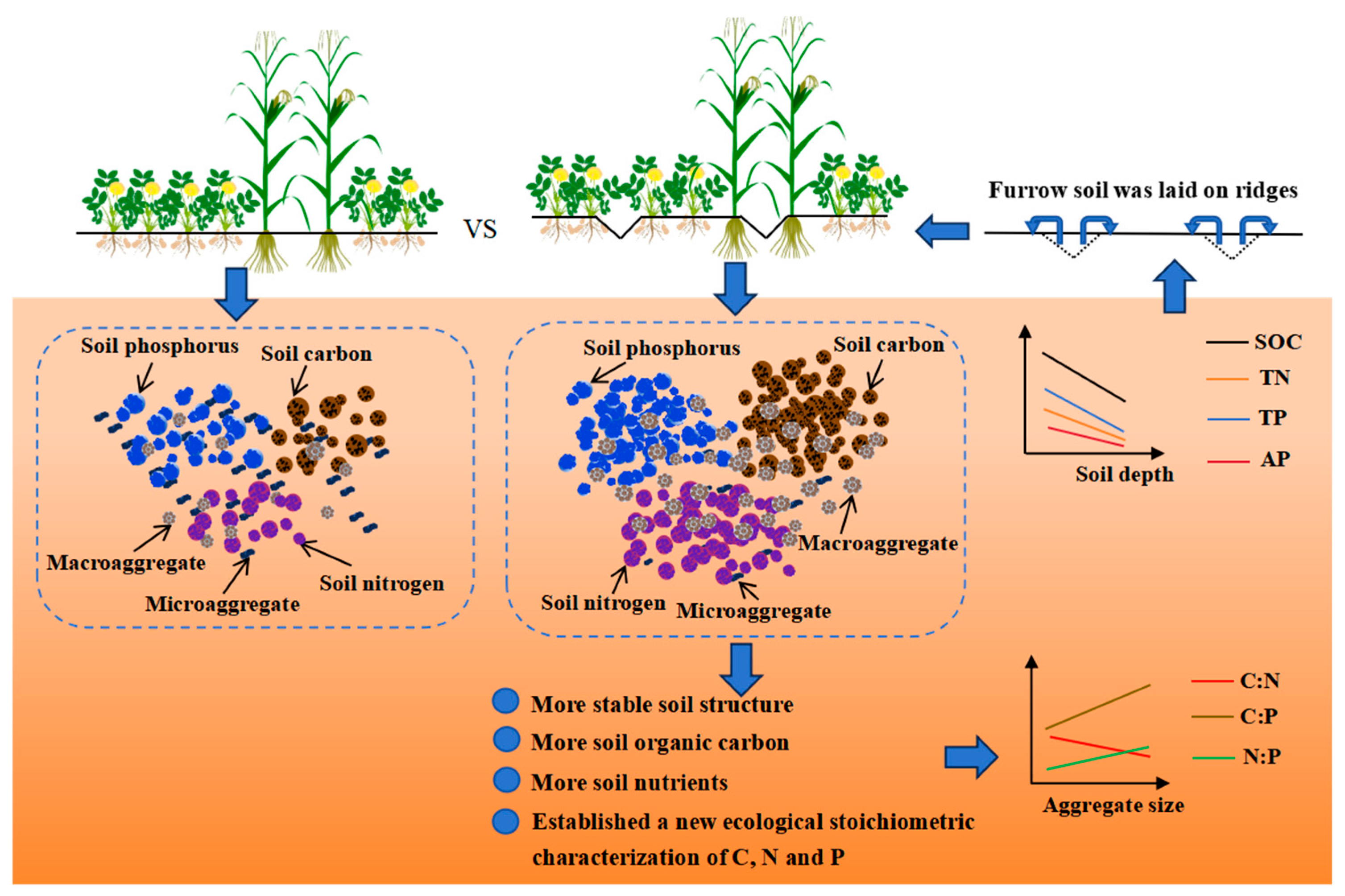. ① High Performance Piston Peugeot 405 - Wellfar Parts