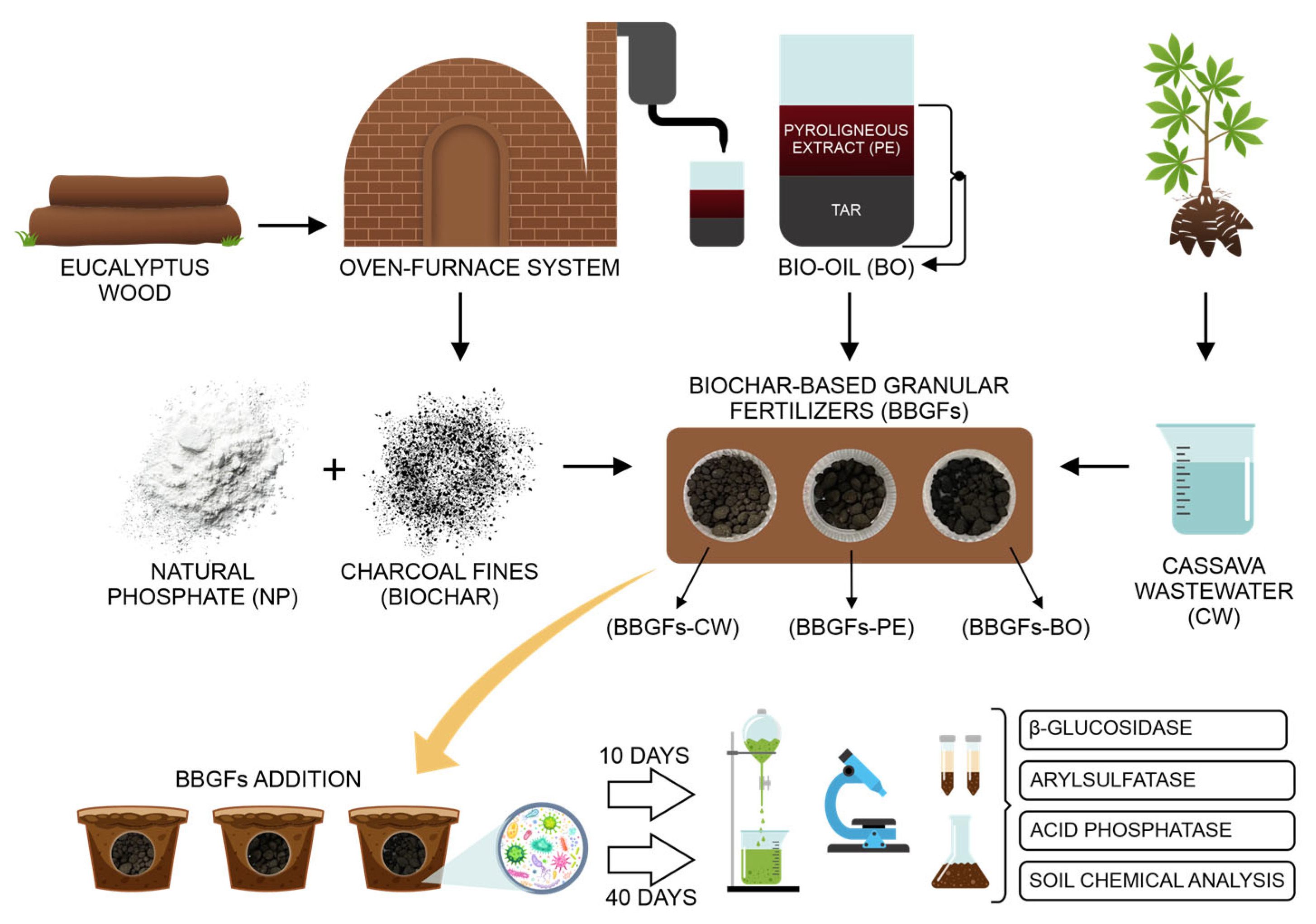 Agronomy 15 02230 g001