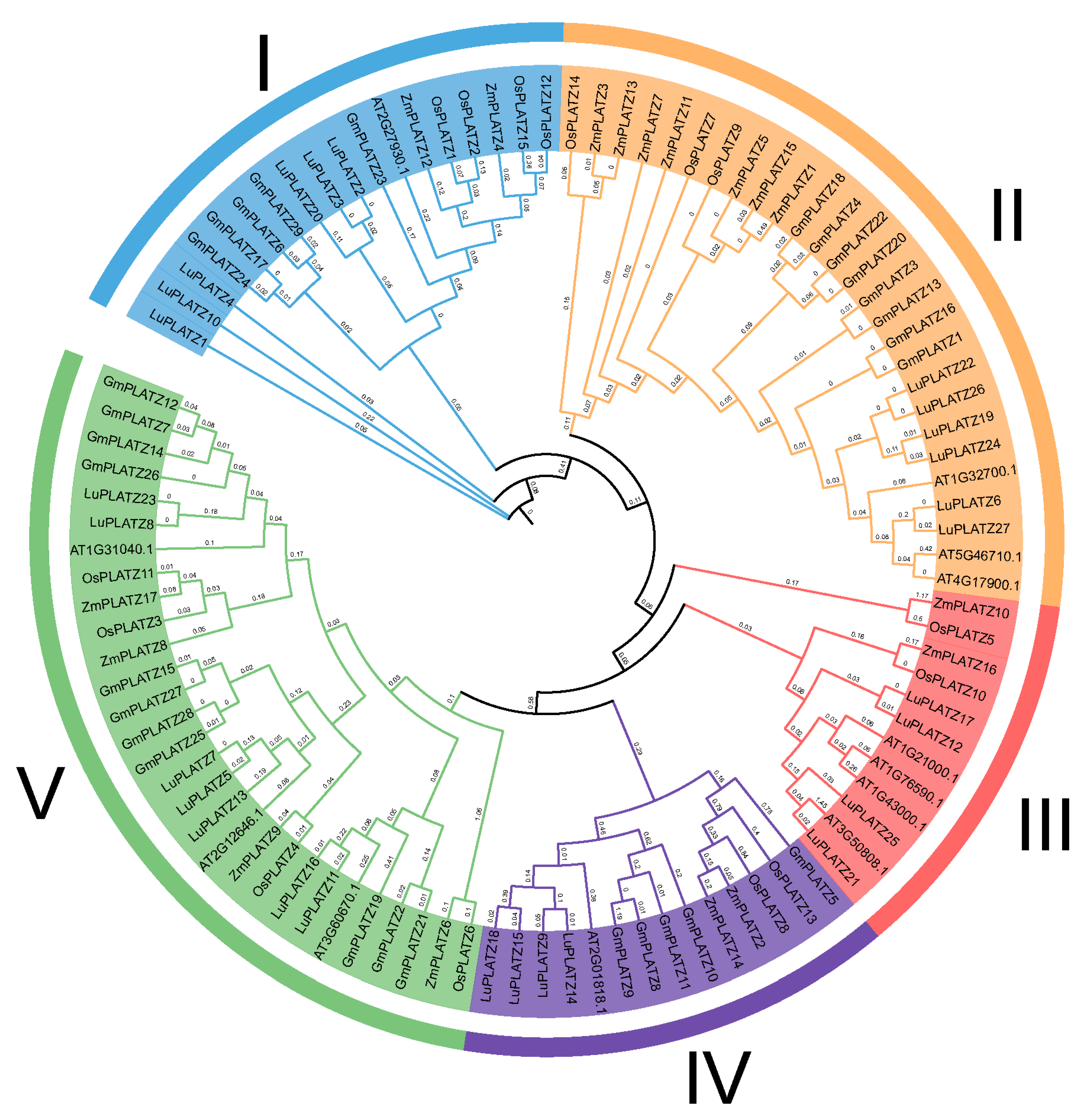 Agronomy 15 02233 g001