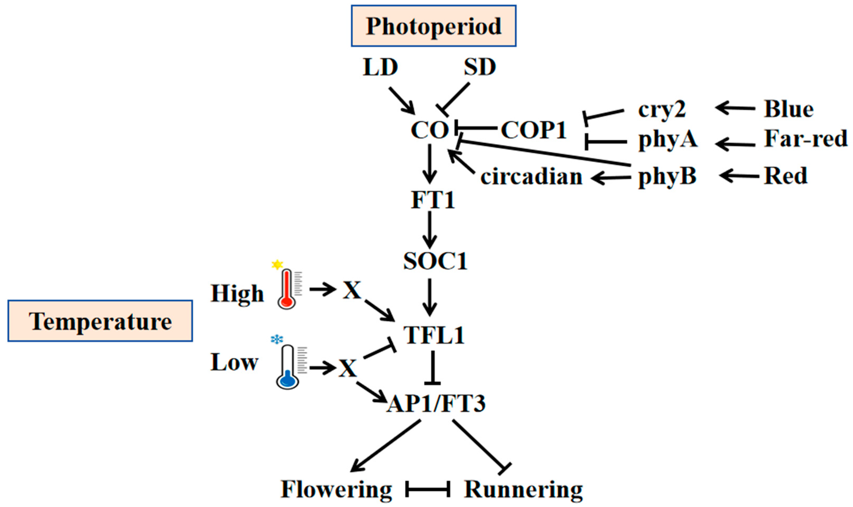Agronomy 15 02235 g002 Agronomy 15 02235 g002