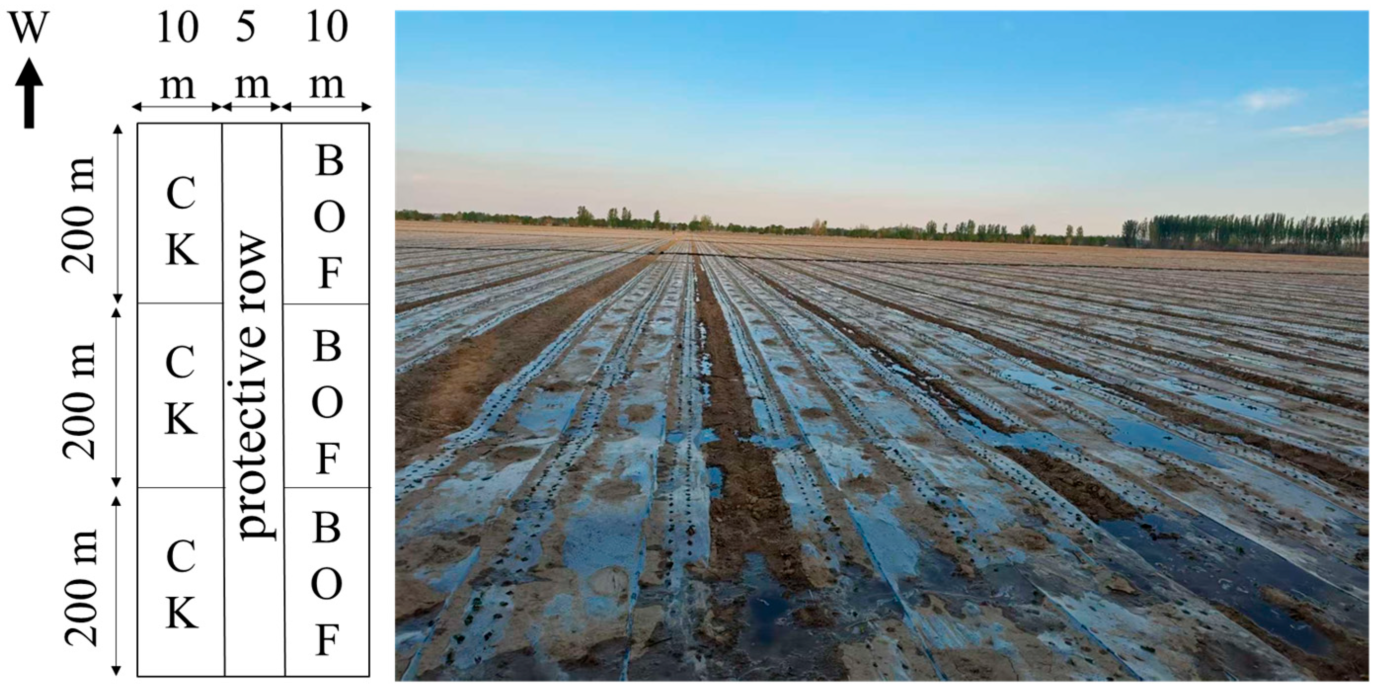 Agronomy 15 02238 g002 Agronomy 15 02238 g002