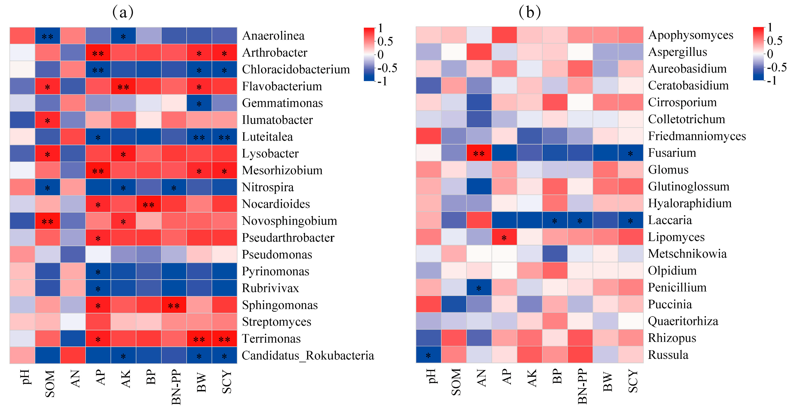 Agronomy 15 02238 g008 Agronomy 15 02238 g008