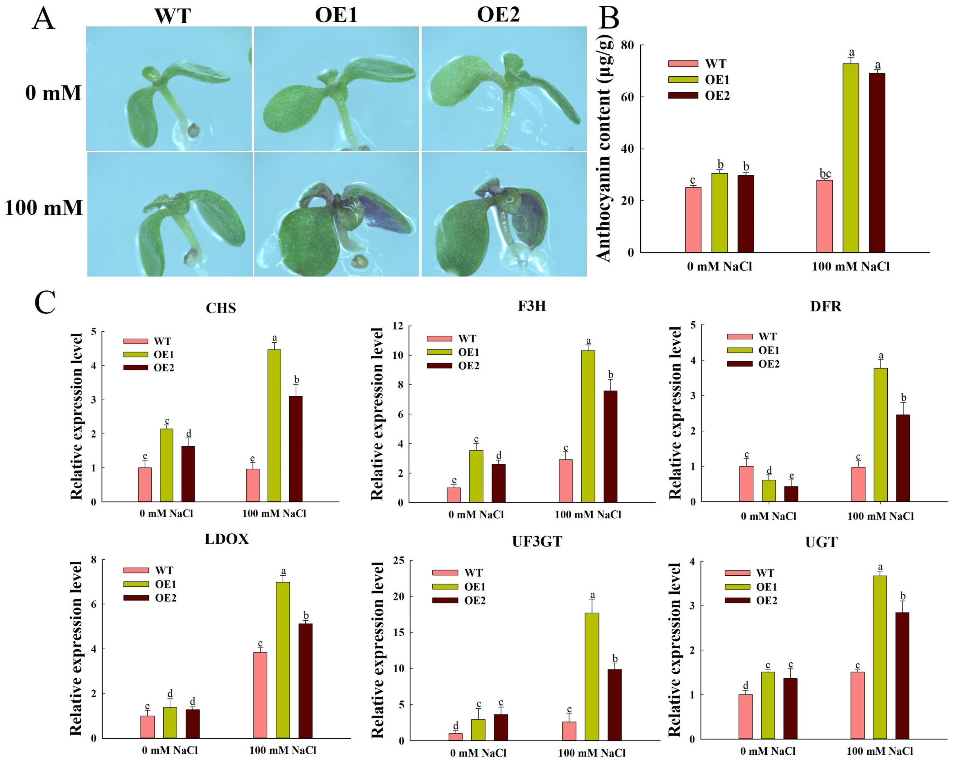 Agronomy 15 02240 g005 Agronomy 15 02240 g005