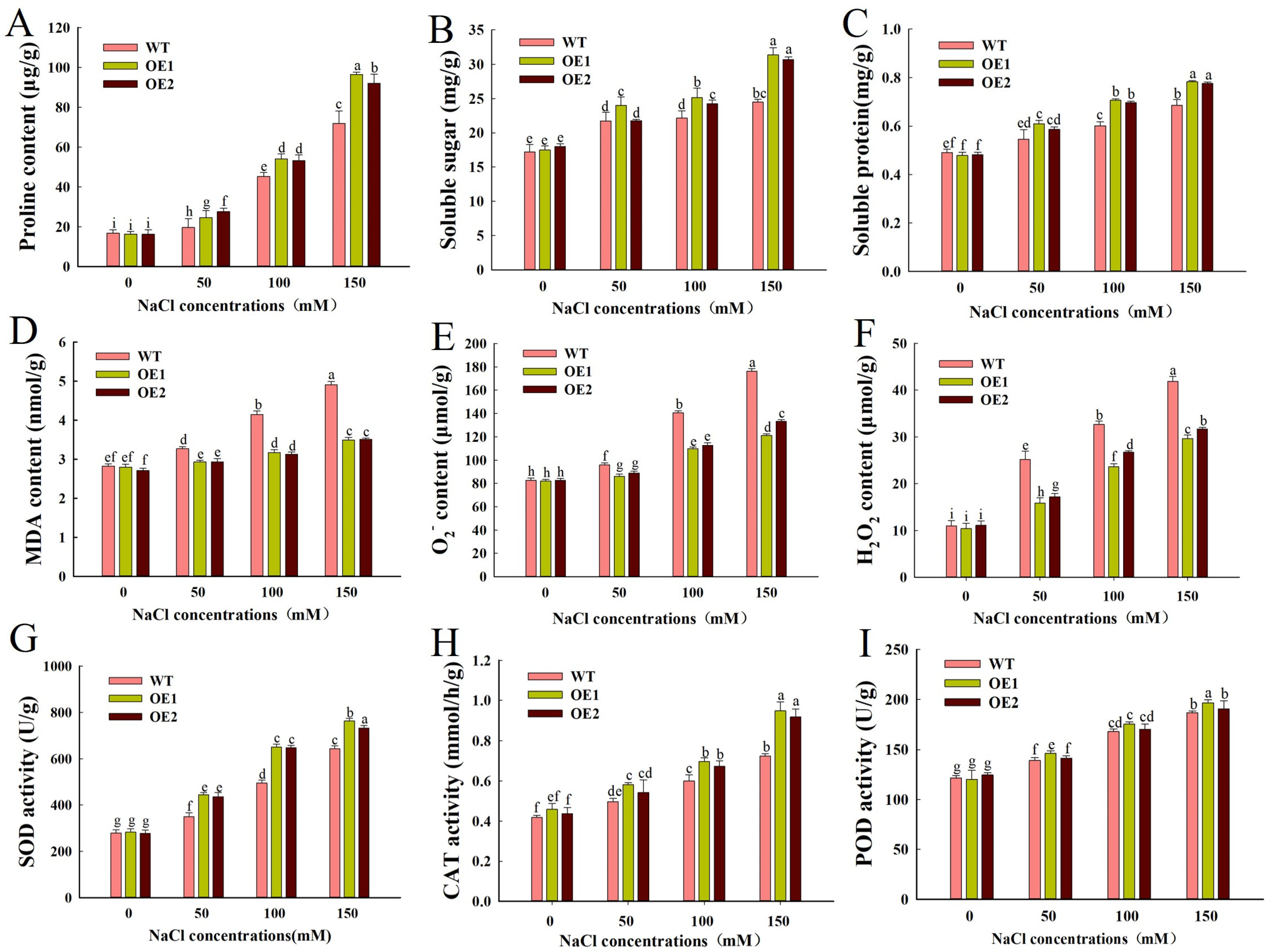 Agronomy 15 02240 g006 Agronomy 15 02240 g006
