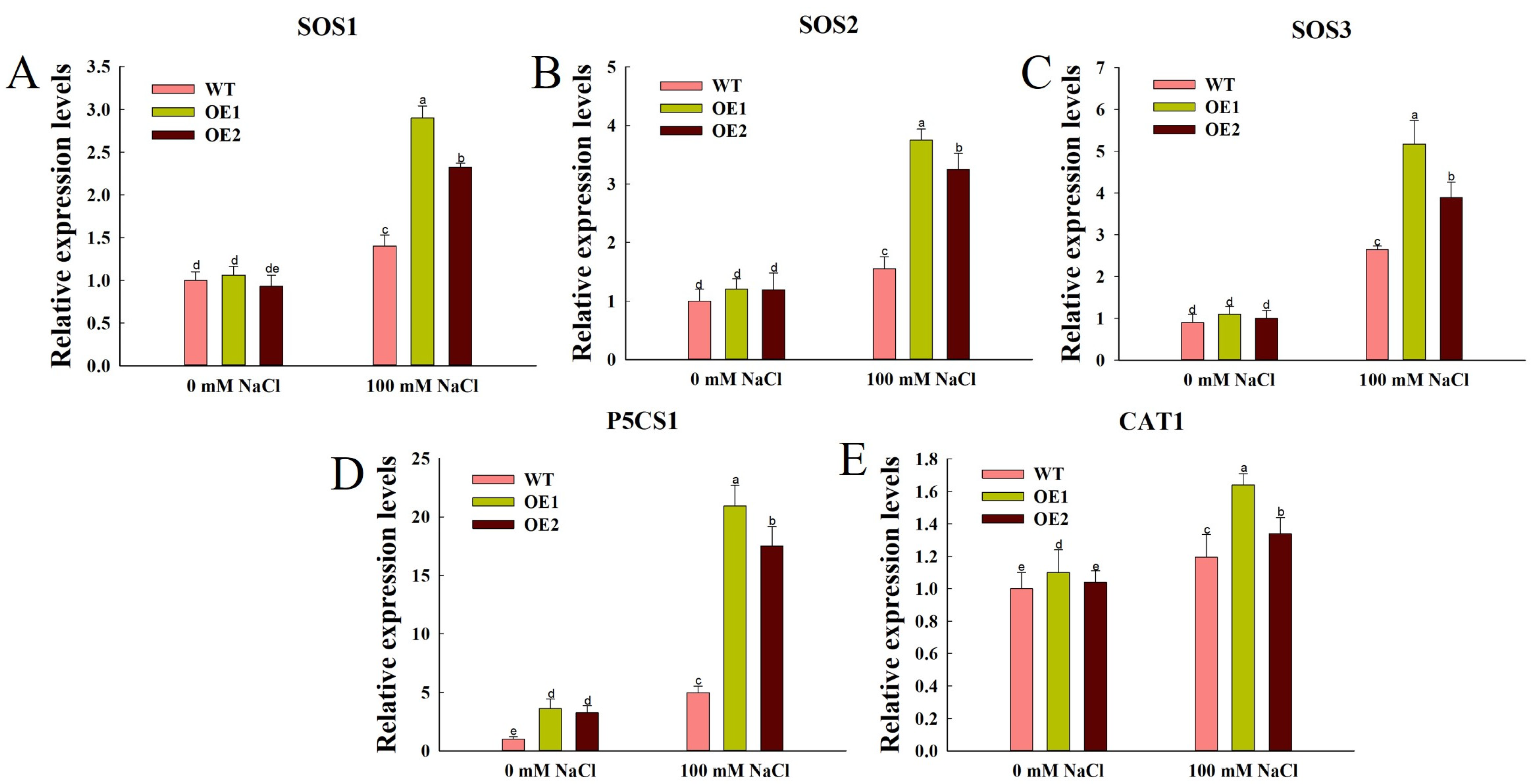 Agronomy 15 02240 g007 Agronomy 15 02240 g007