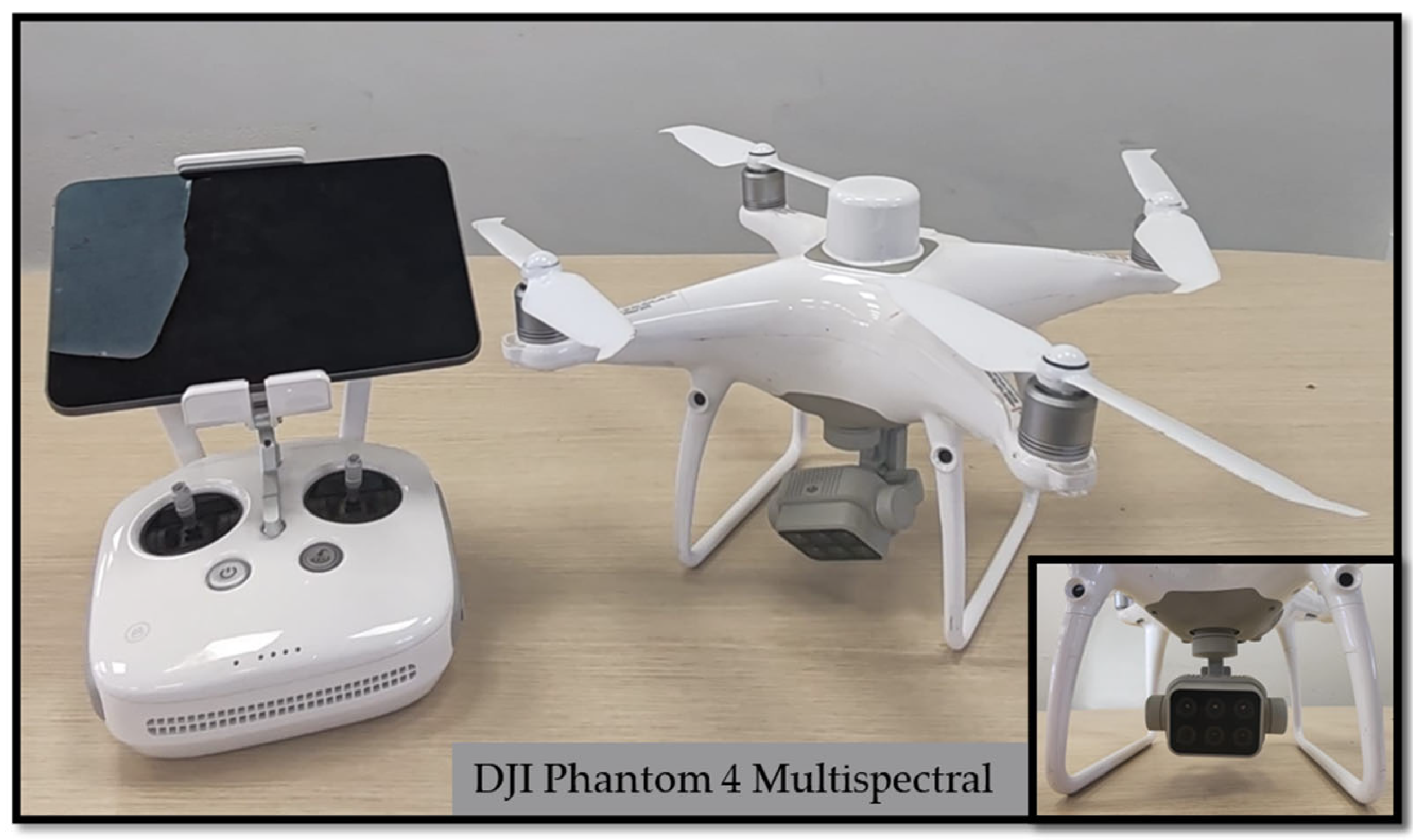 Agronomy 15 02244 g005 Agronomy 15 02244 g005