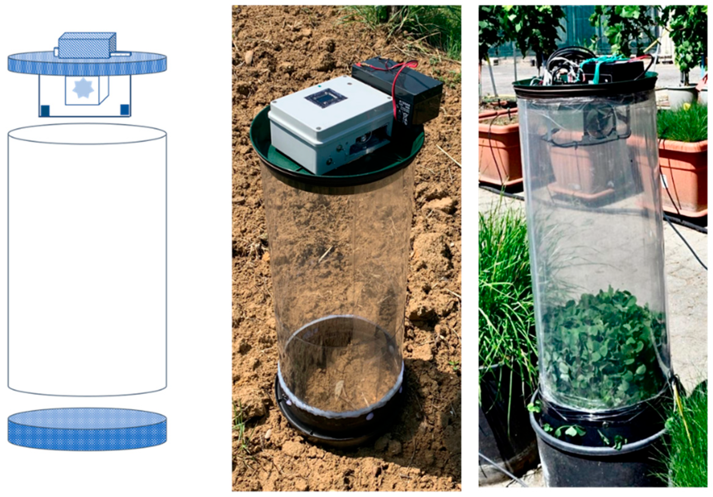 Agronomy 15 02245 g005