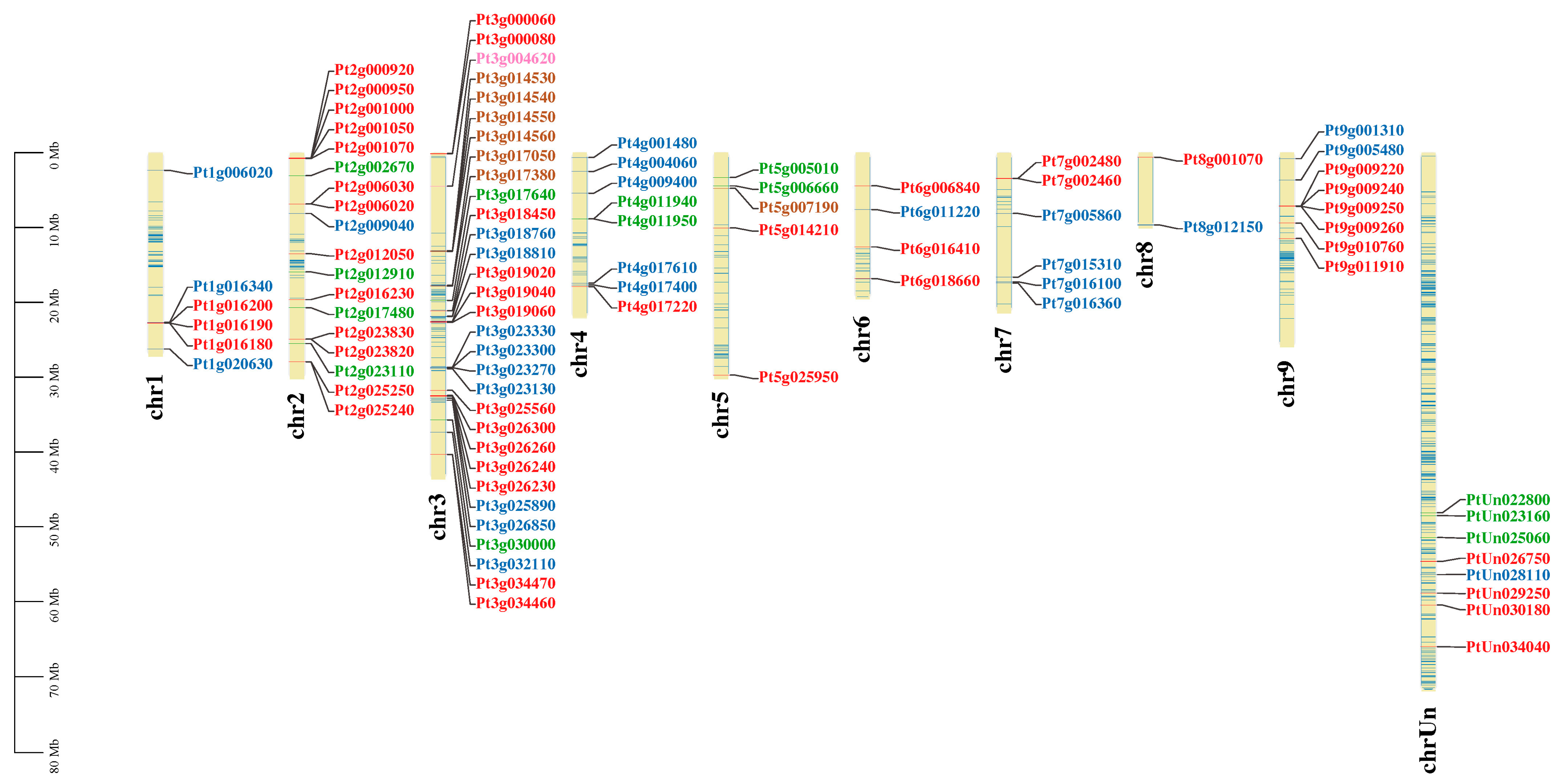 Agronomy 15 02246 g001 Agronomy 15 02246 g001