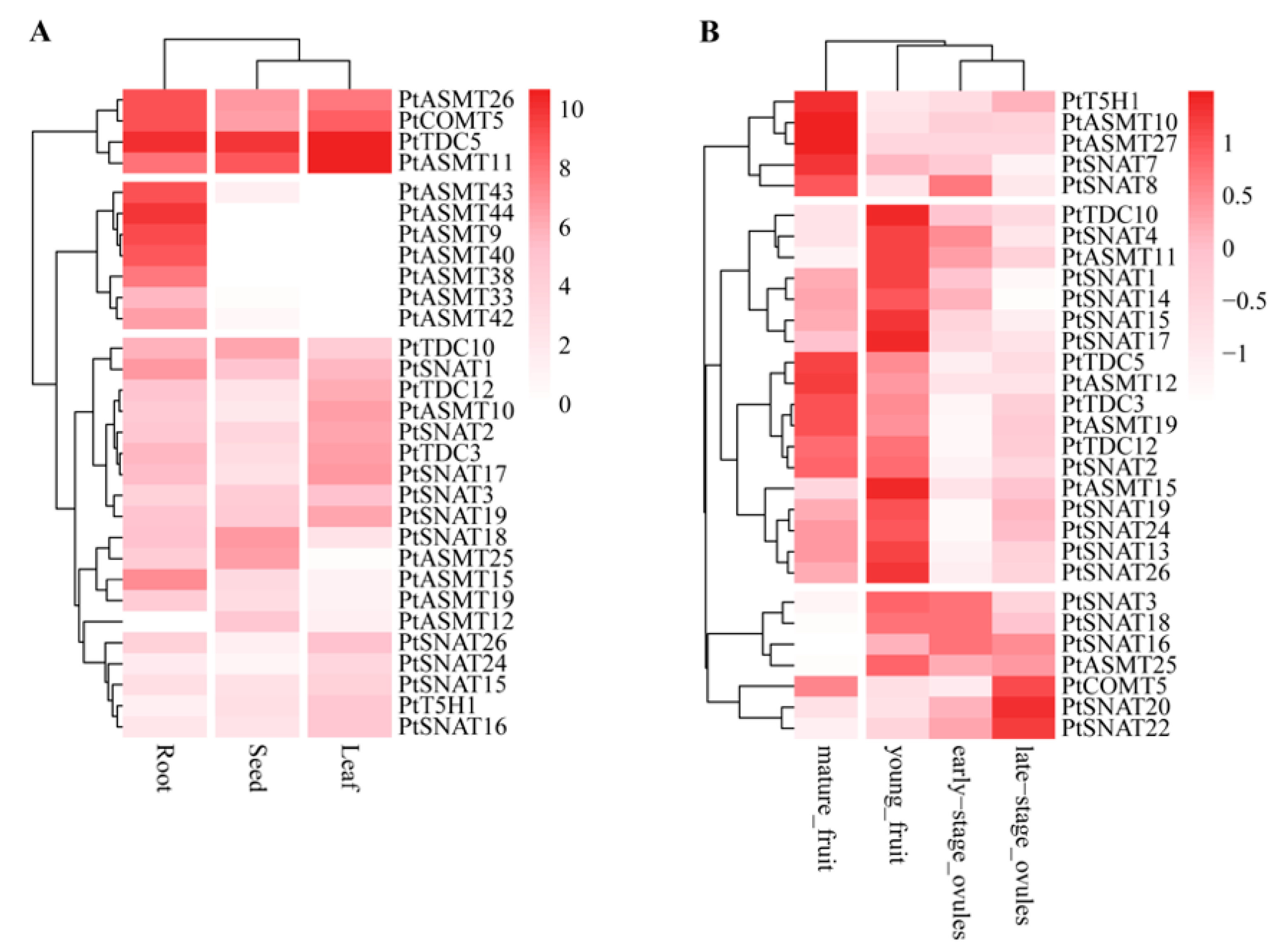 Agronomy 15 02246 g005 Agronomy 15 02246 g005