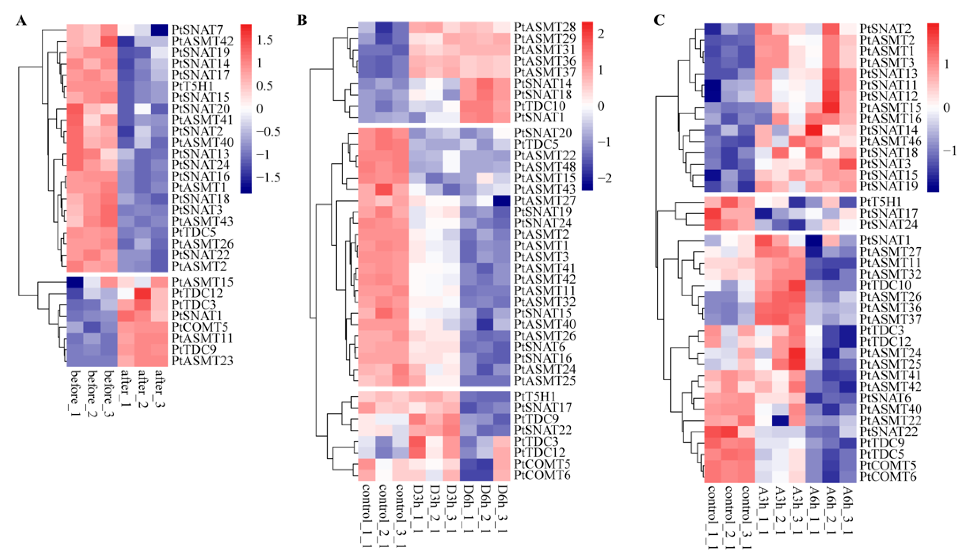 Agronomy 15 02246 g006 Agronomy 15 02246 g006