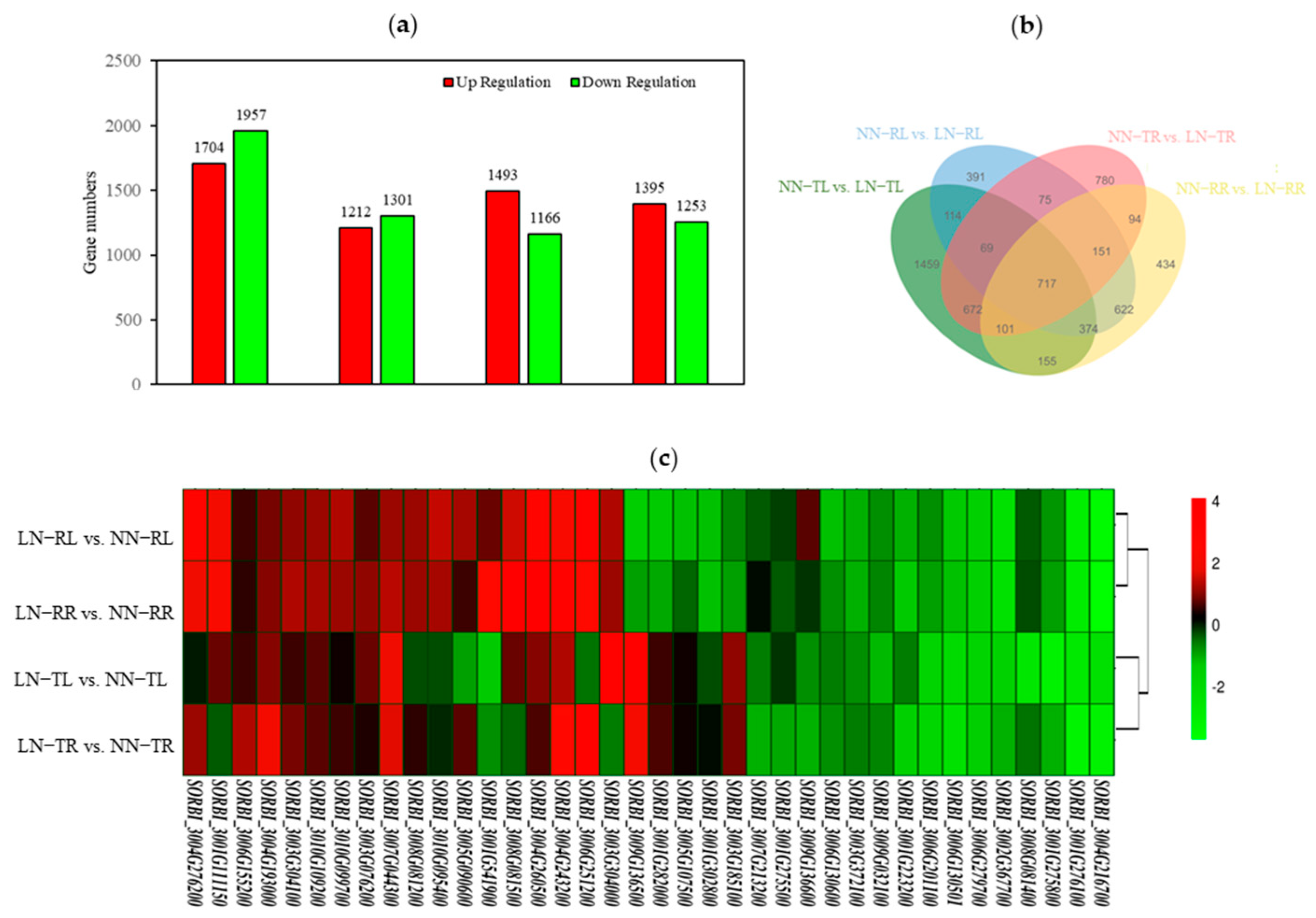 Agronomy 15 02250 g003