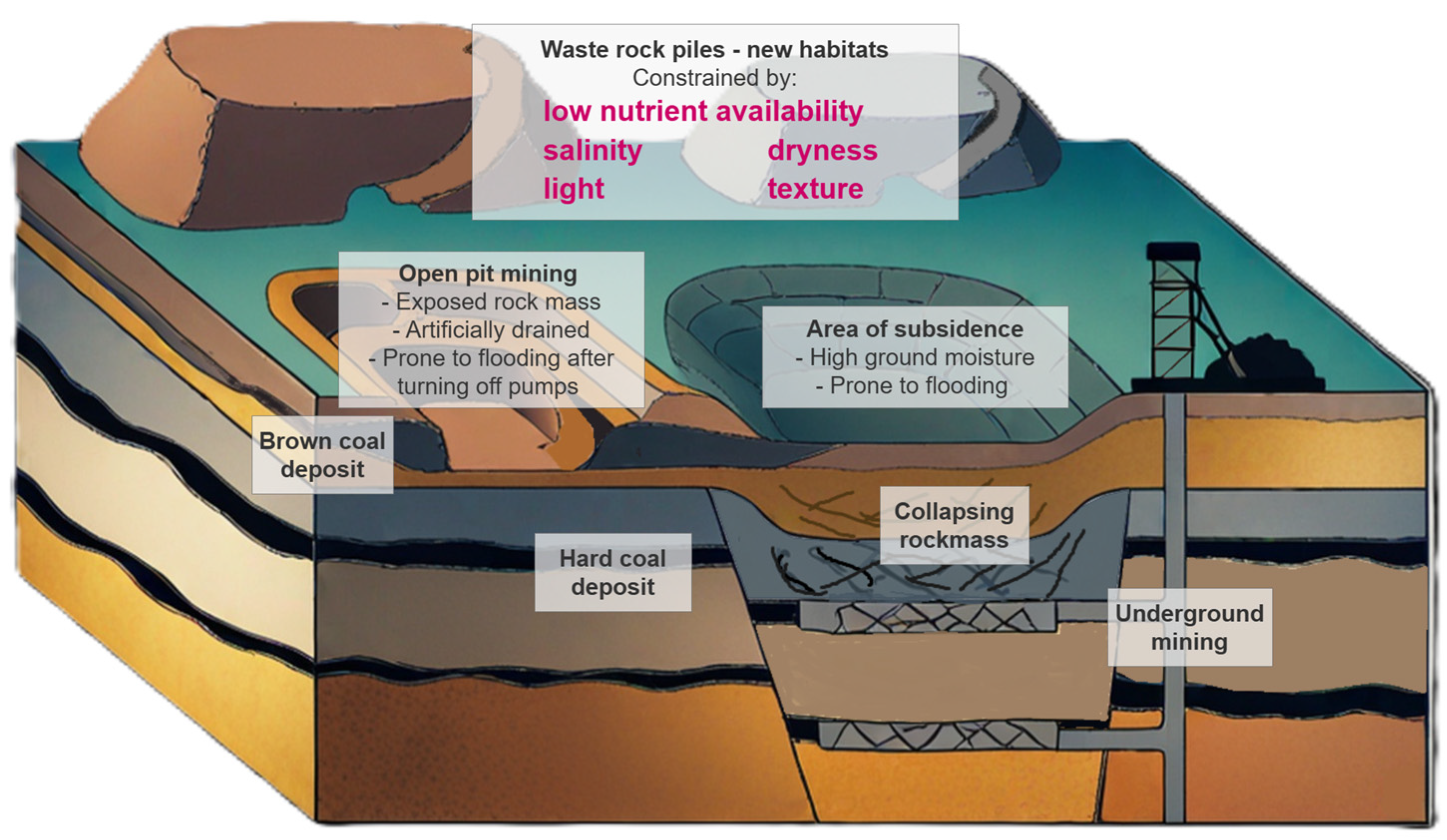 Agronomy 15 02251 g001