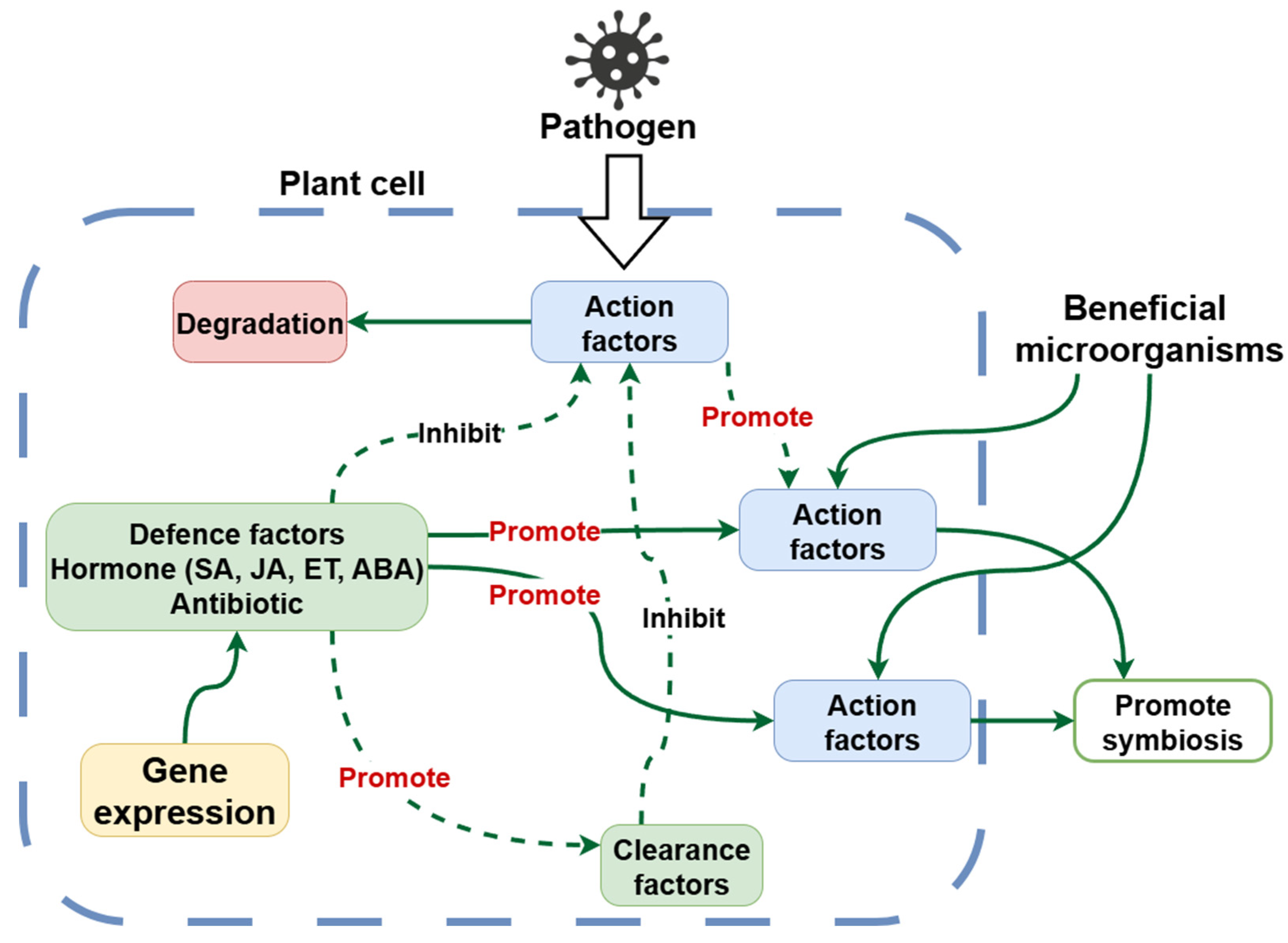 Agronomy 15 02251 g002