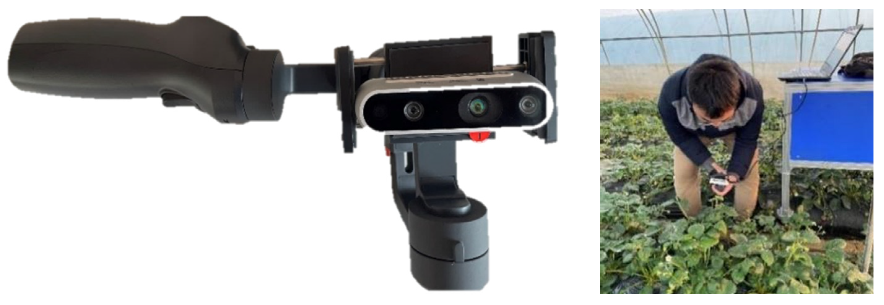 Agronomy 15 02252 g001