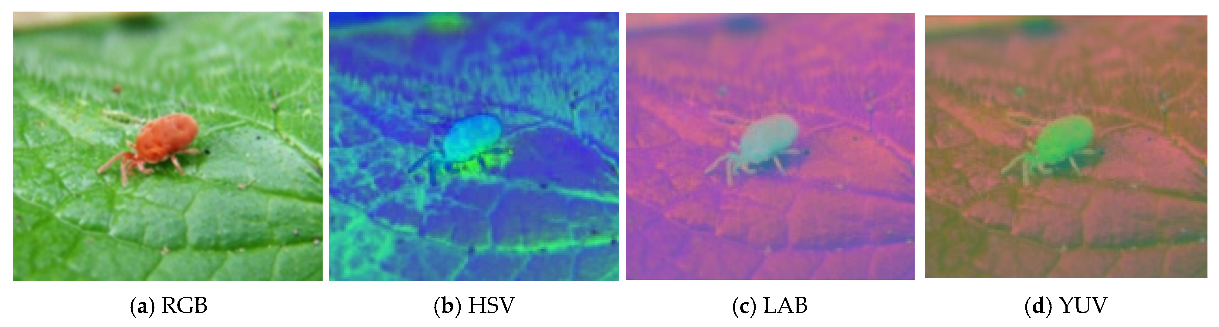 Agronomy 15 02252 g003