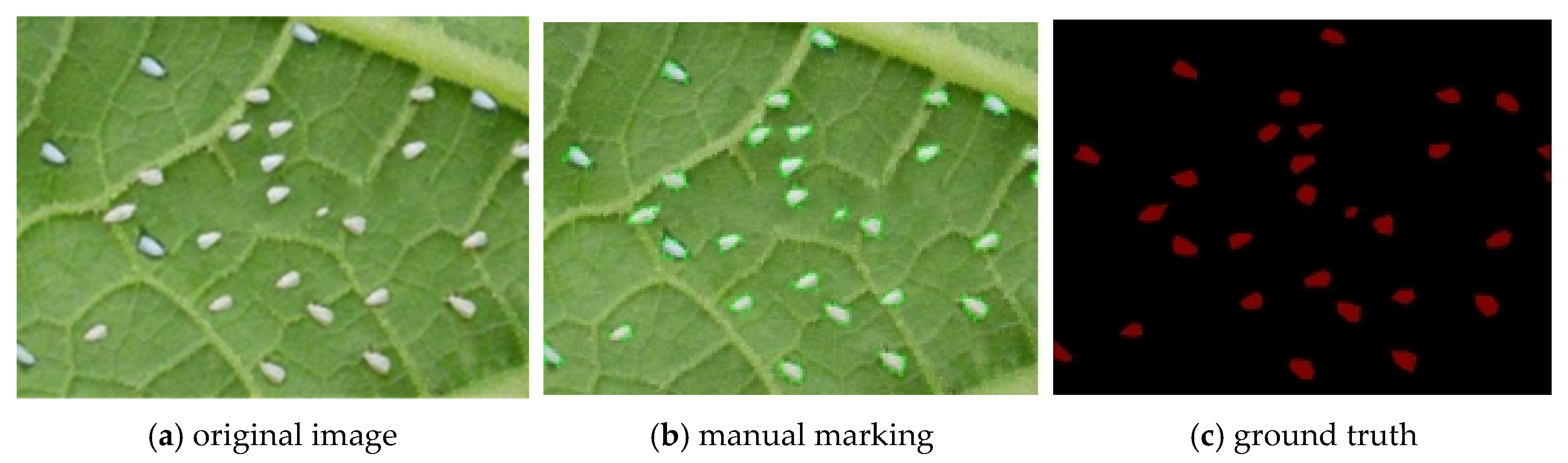 Agronomy 15 02252 g004