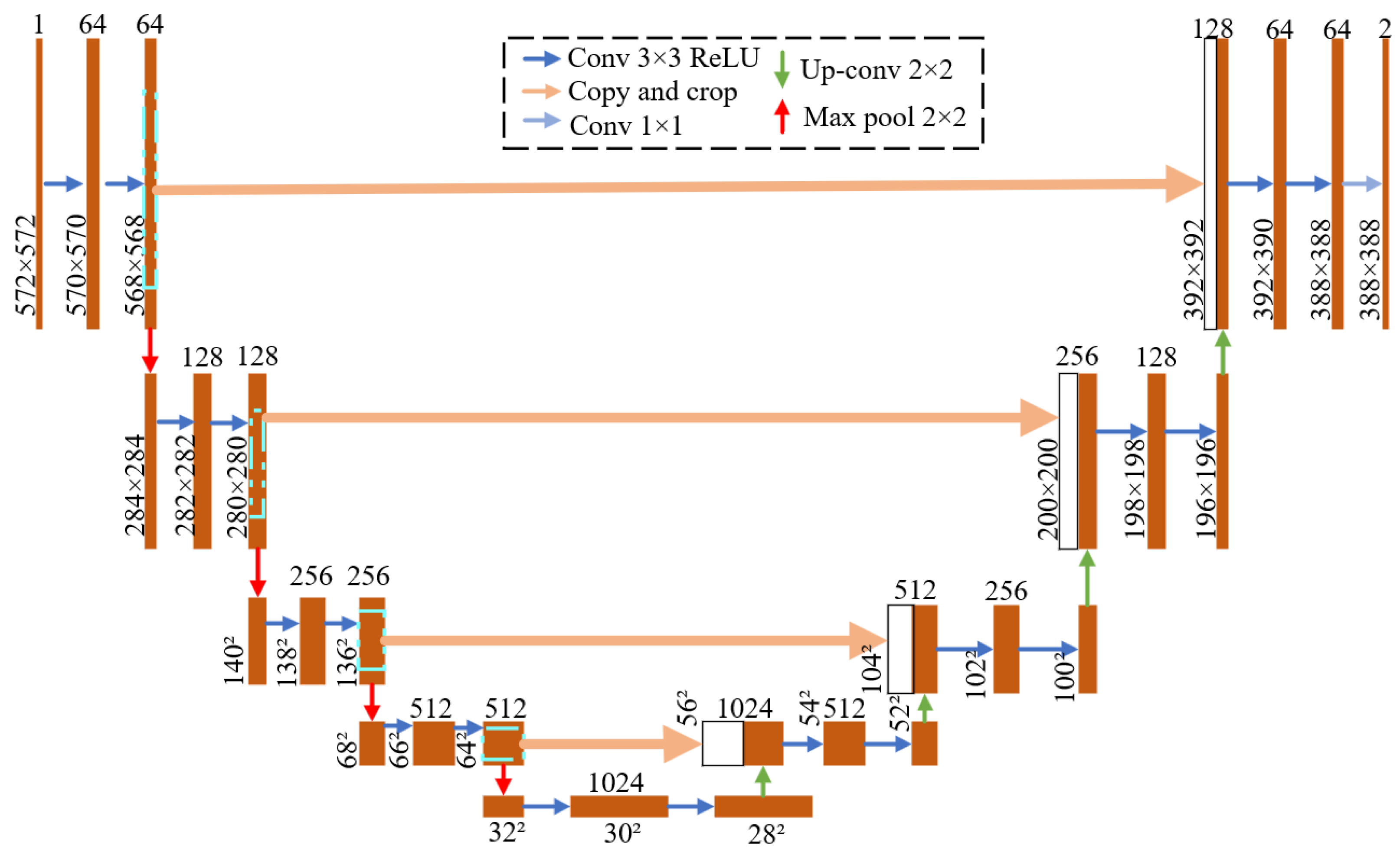 Agronomy 15 02252 g005
