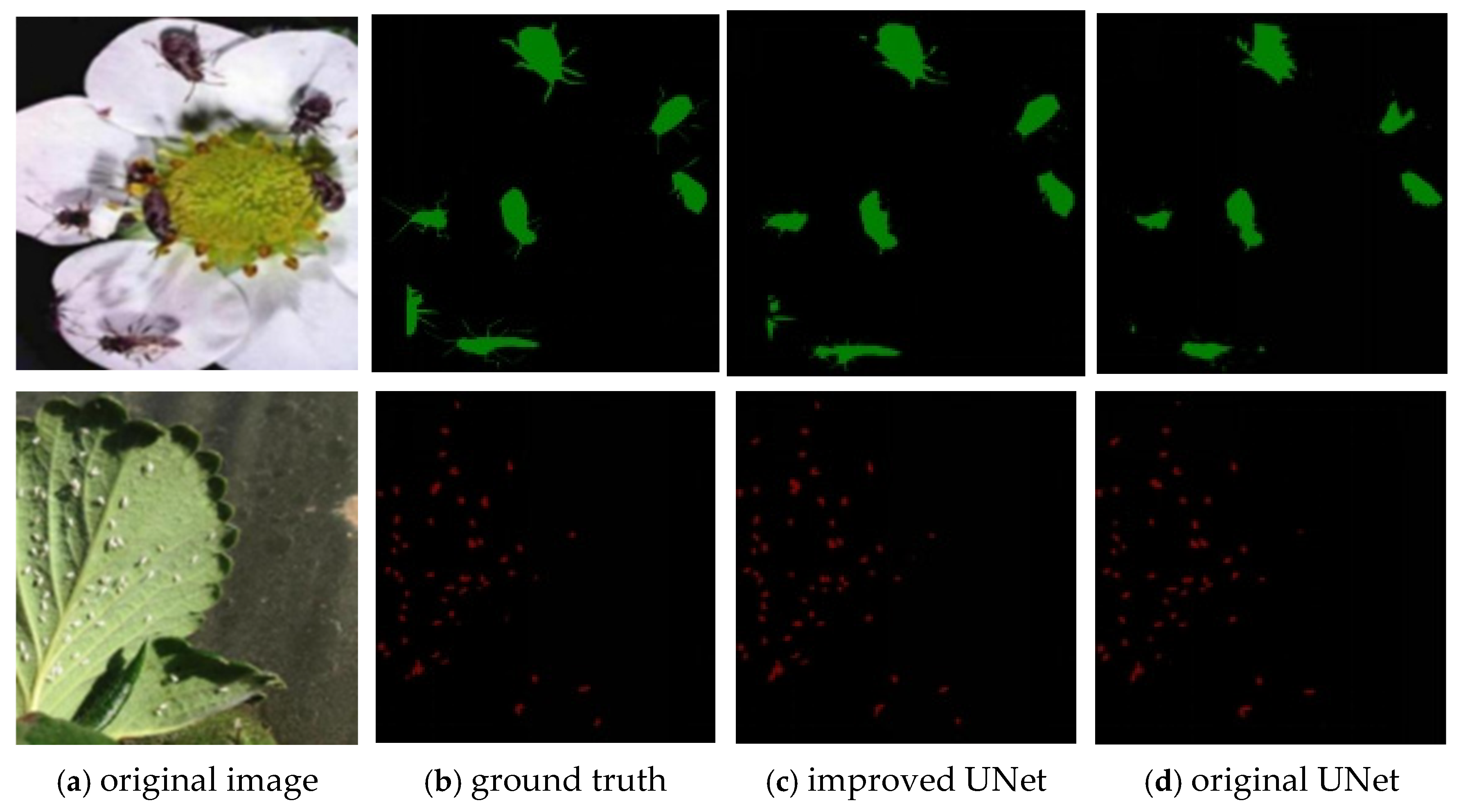 Agronomy 15 02252 g009