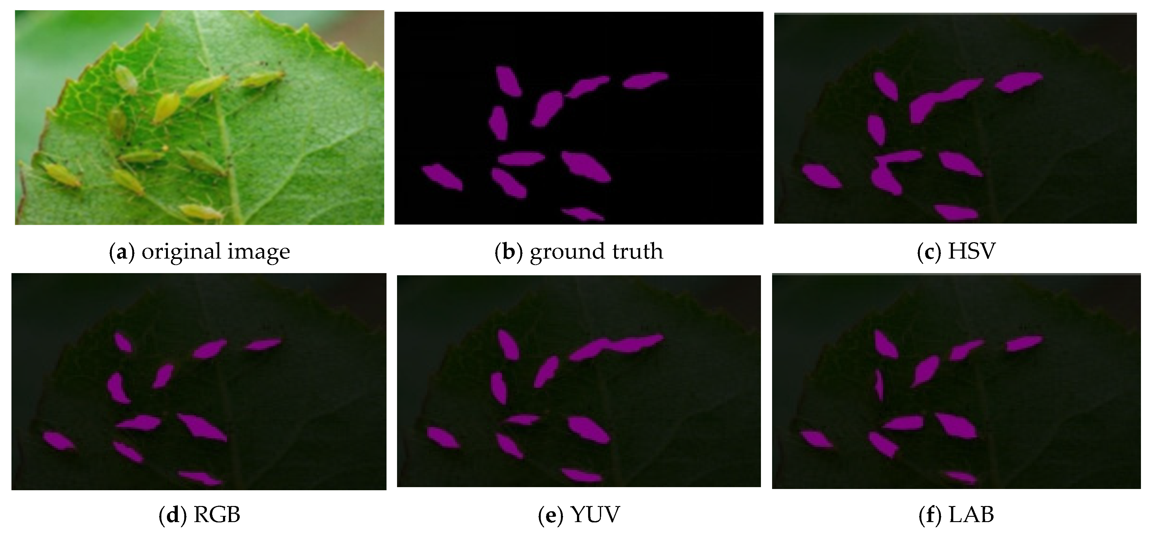 Agronomy 15 02252 g010