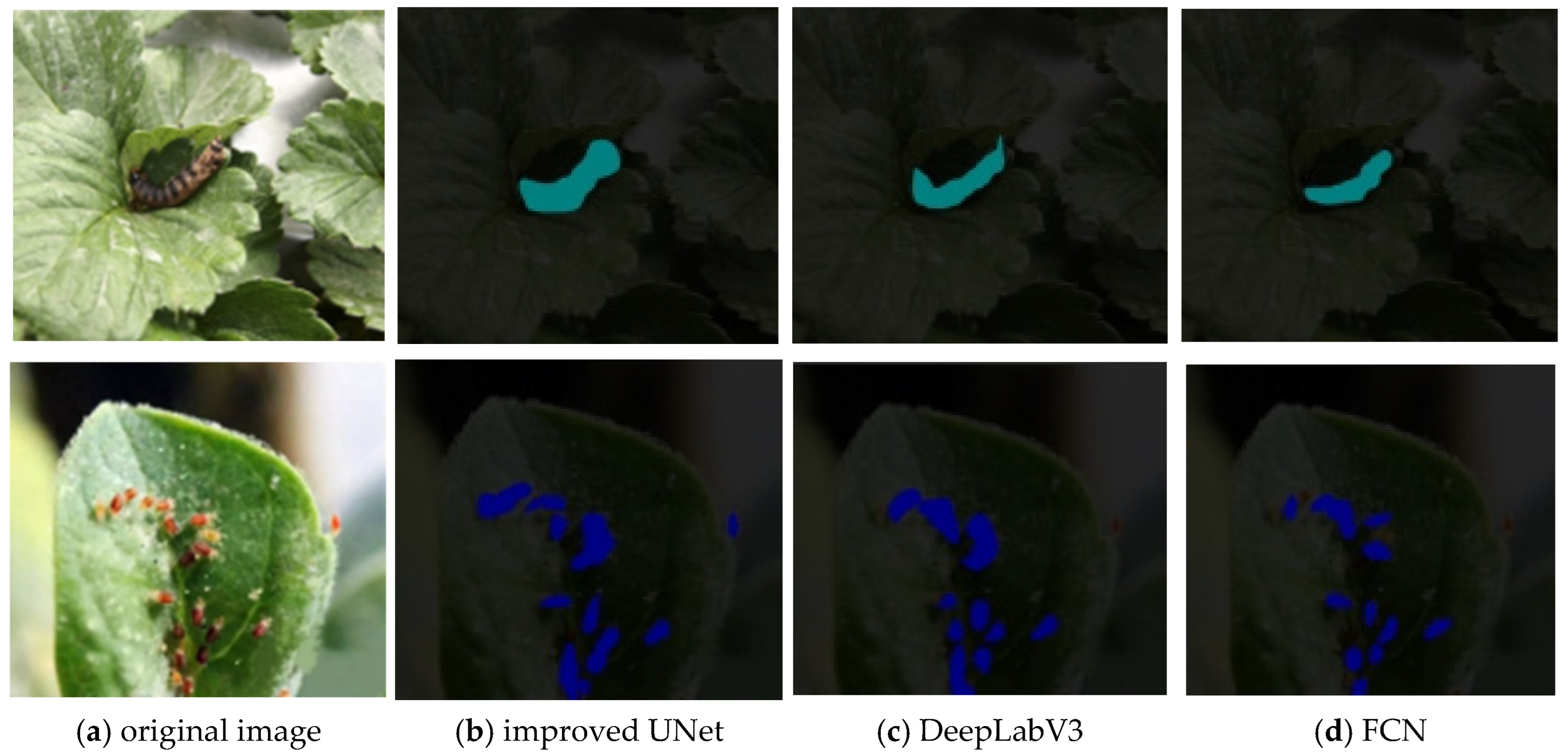 Agronomy 15 02252 g011