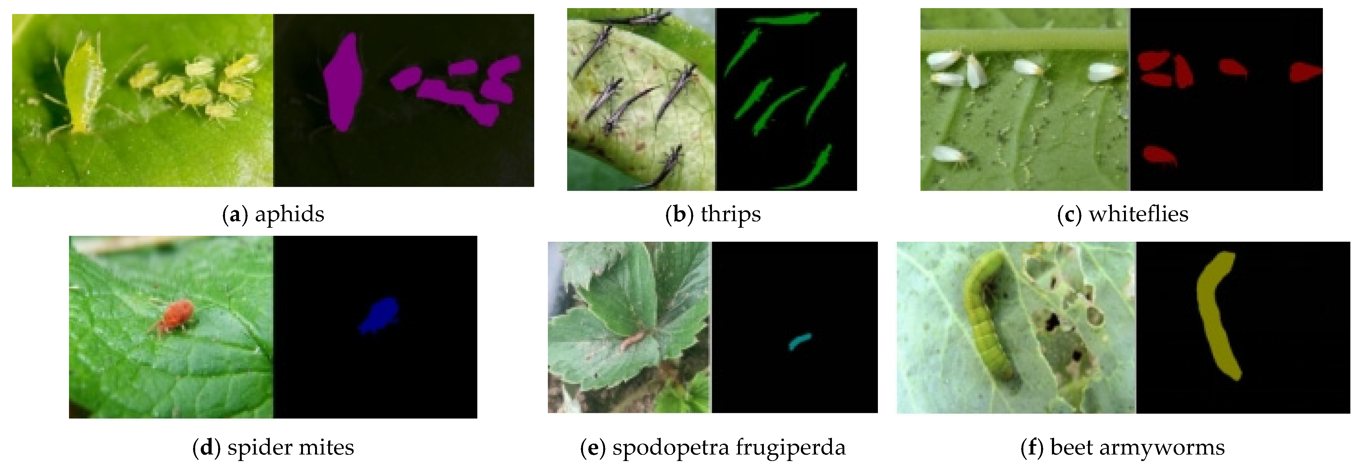 Agronomy 15 02252 g012