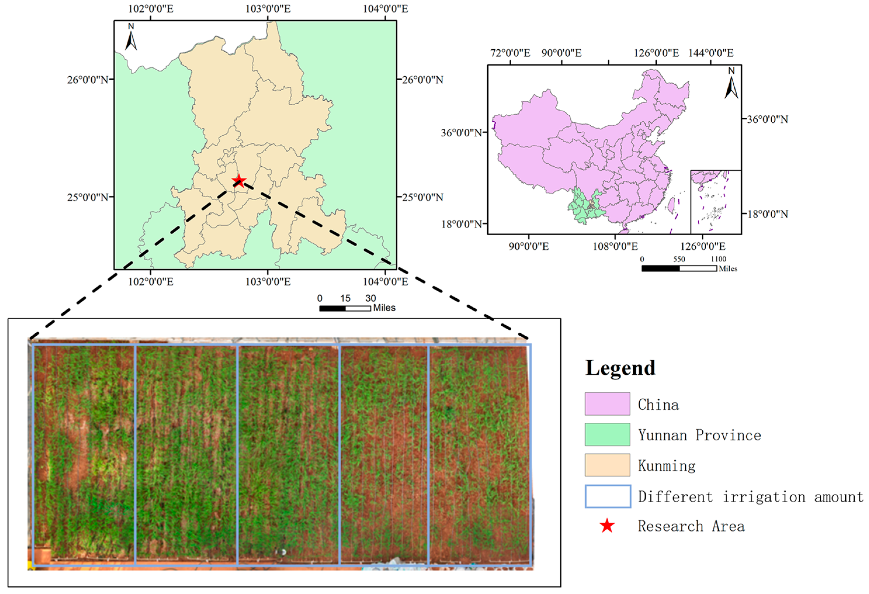 Agronomy 15 02256 g002