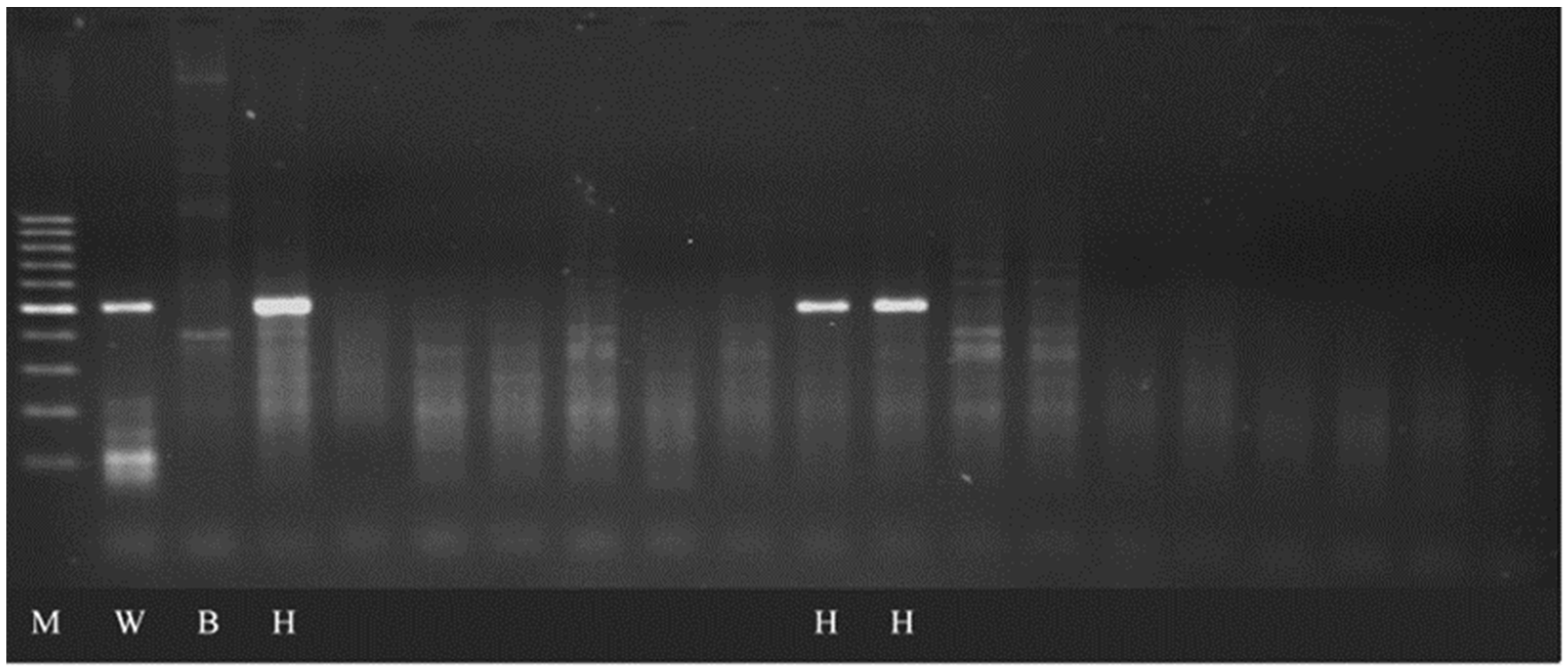 Agronomy 15 02259 g001