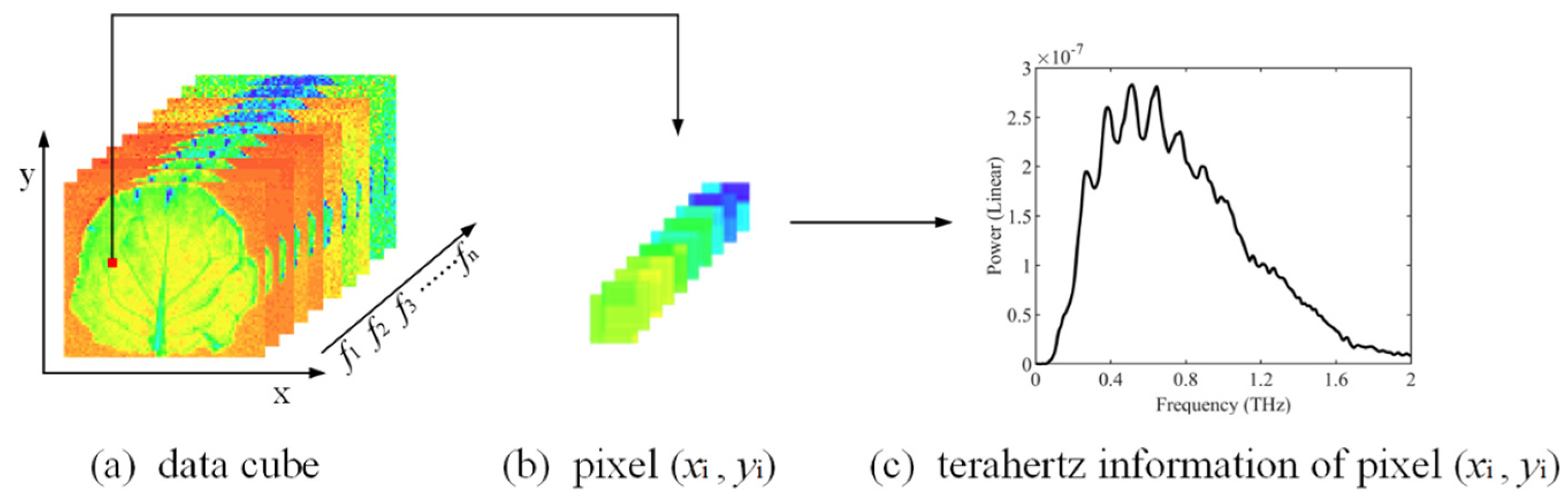 Agronomy 15 02261 g003