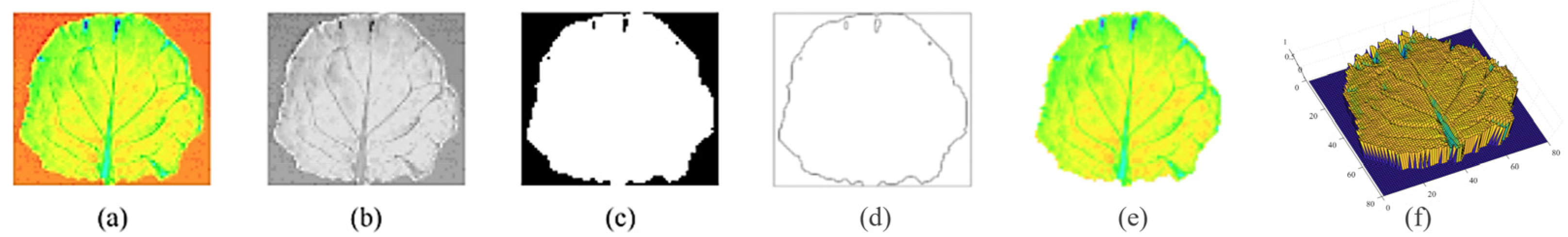 Agronomy 15 02261 g008
