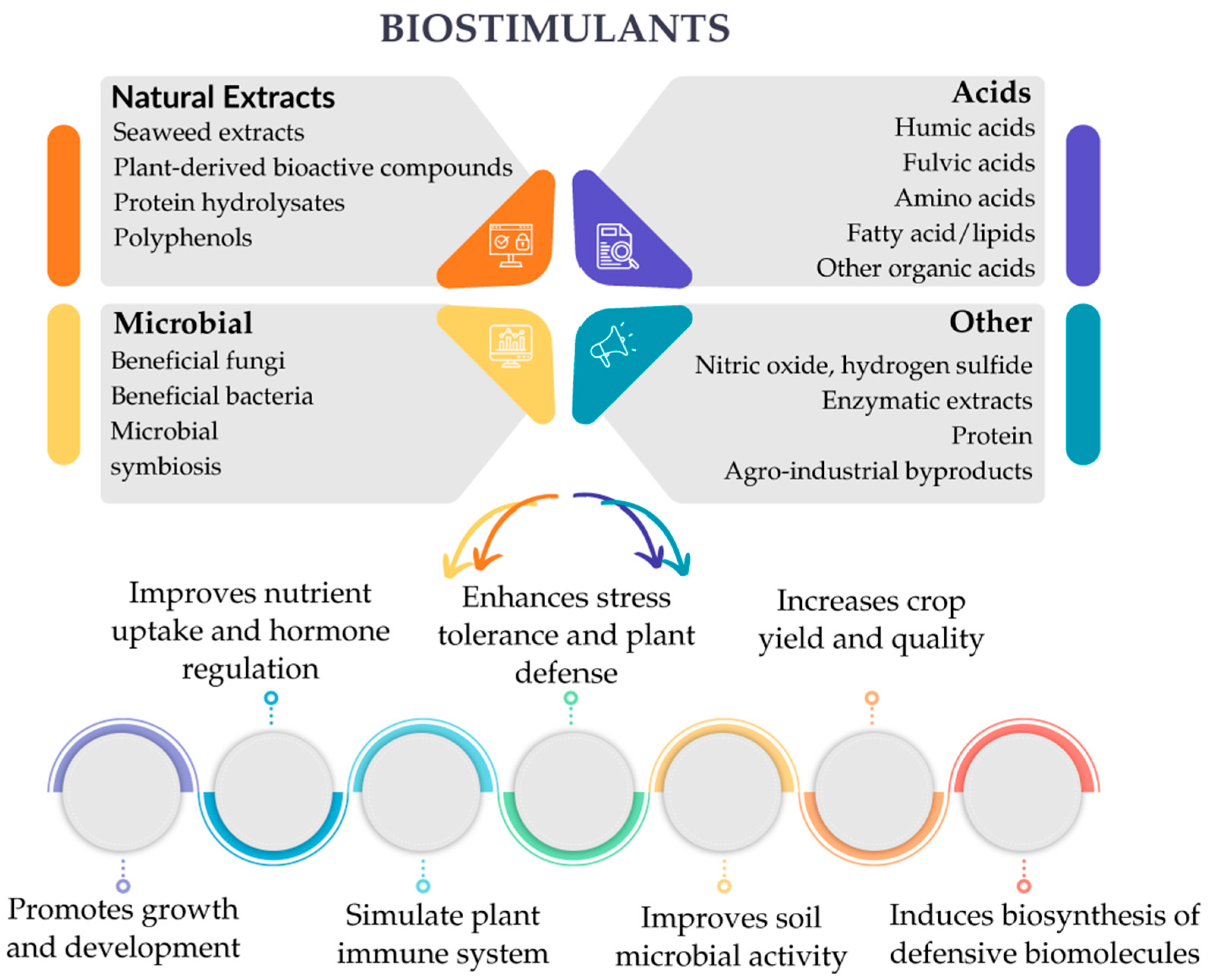 Agronomy 15 02265 g001