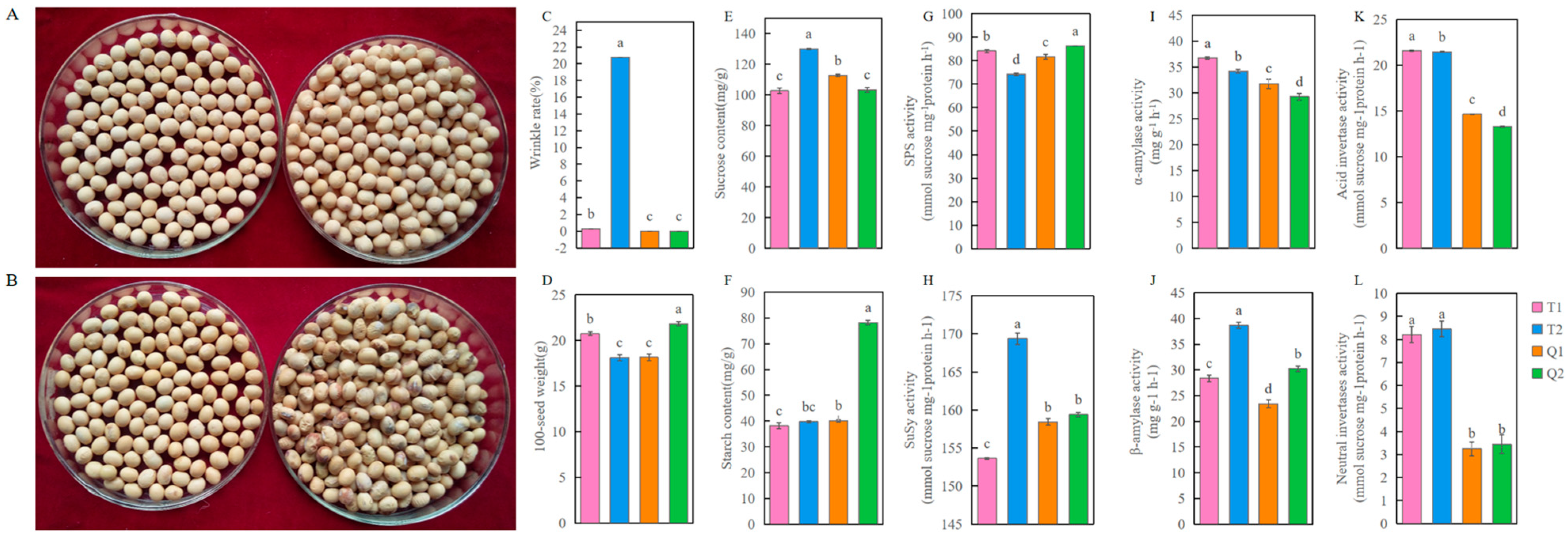 Agronomy 15 02266 g001