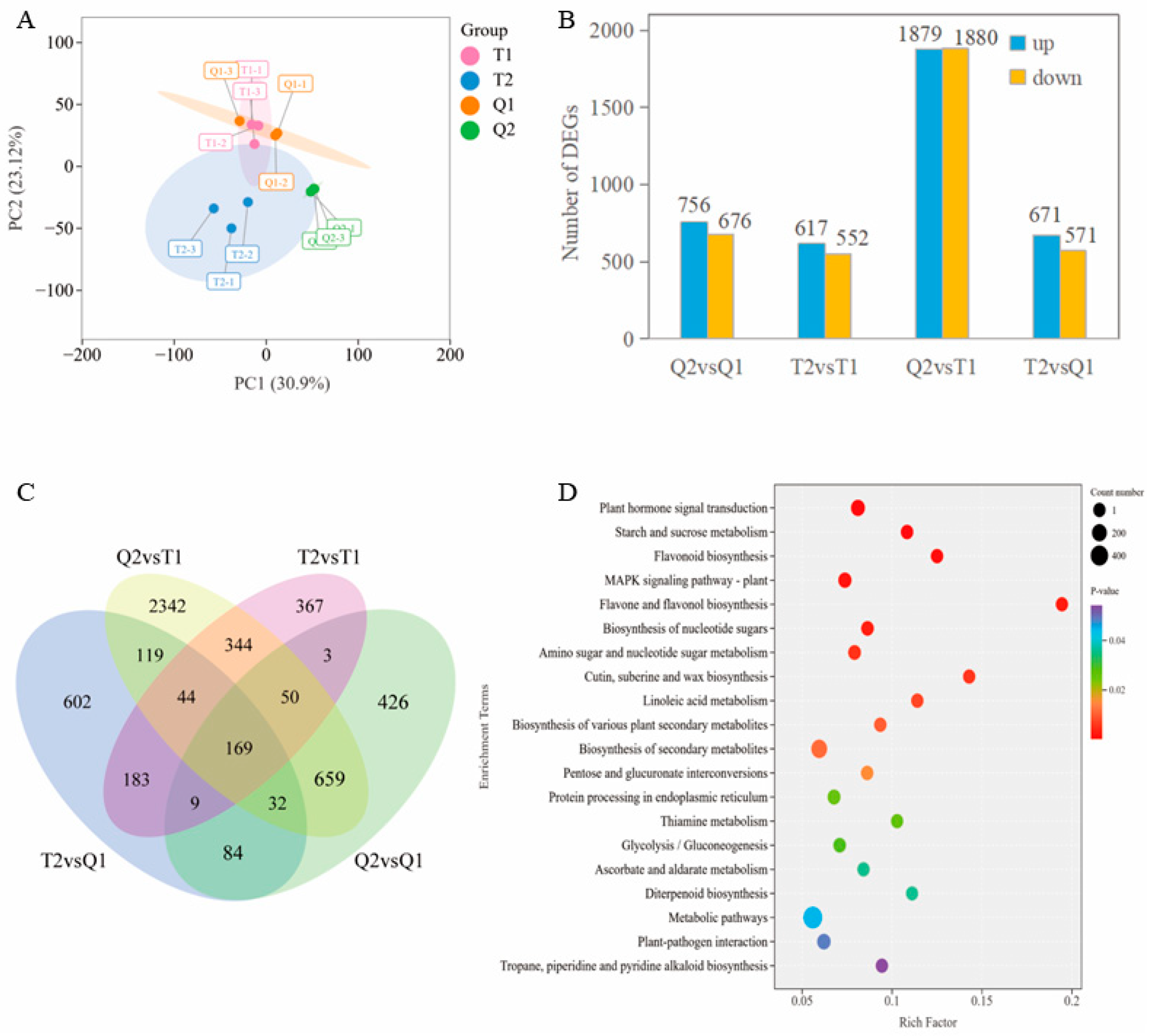 Agronomy 15 02266 g003