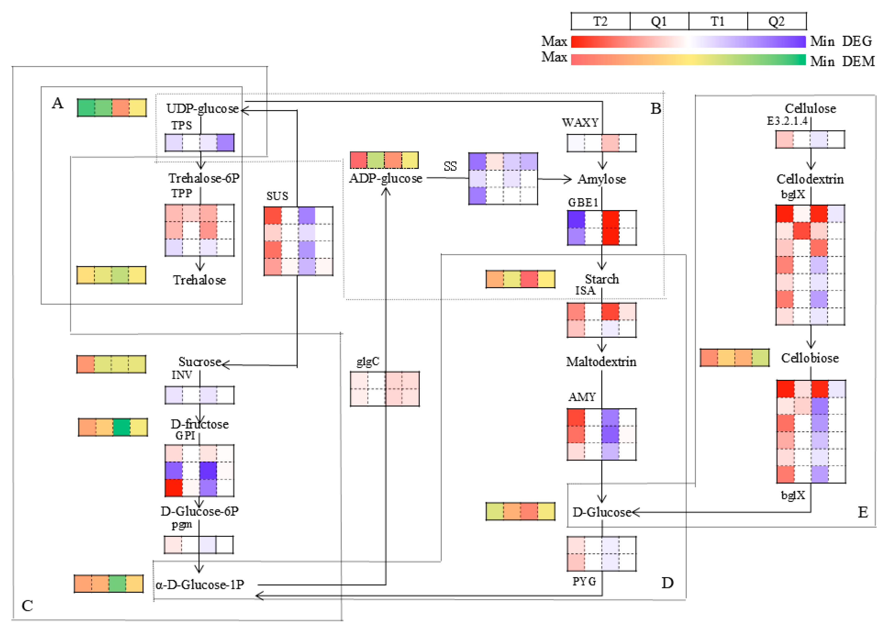Agronomy 15 02266 g007