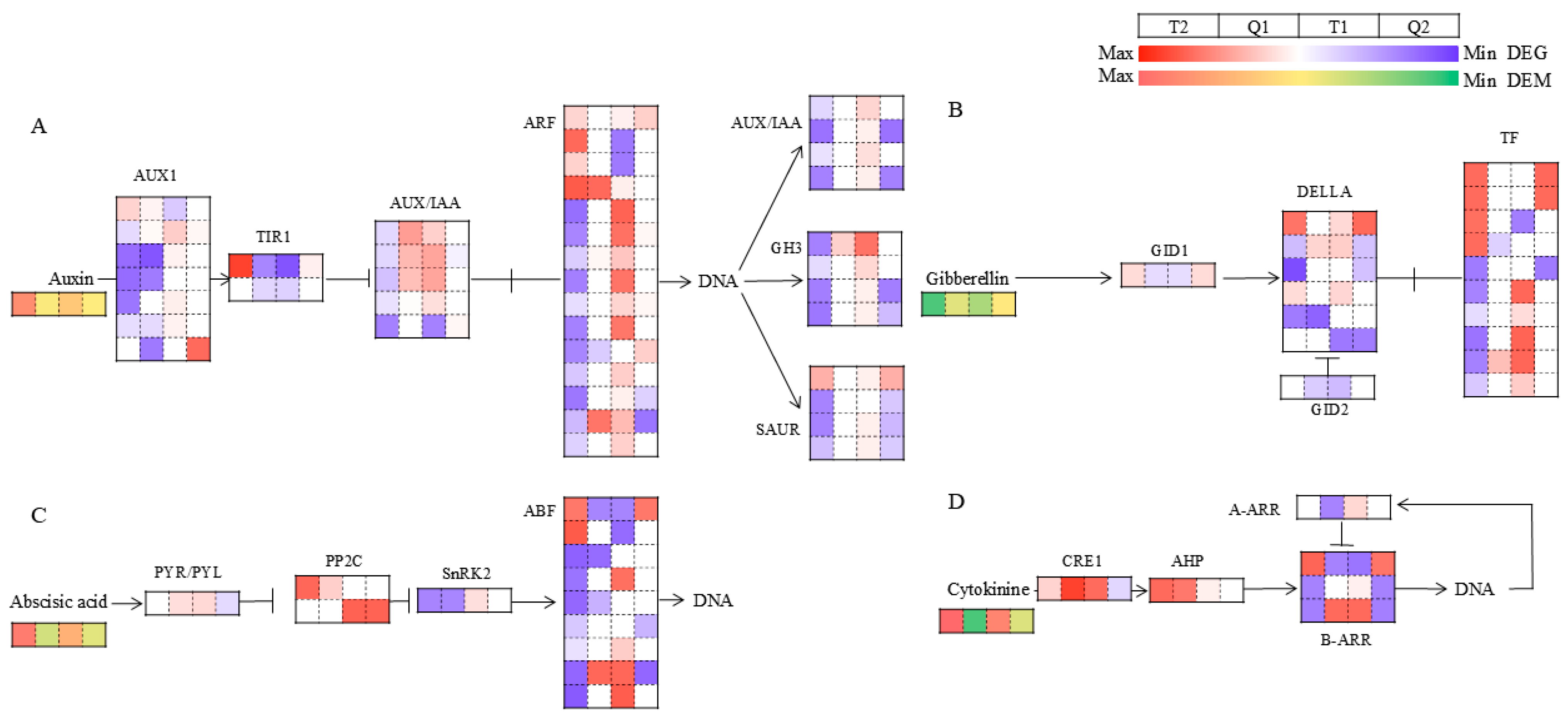 Agronomy 15 02266 g008