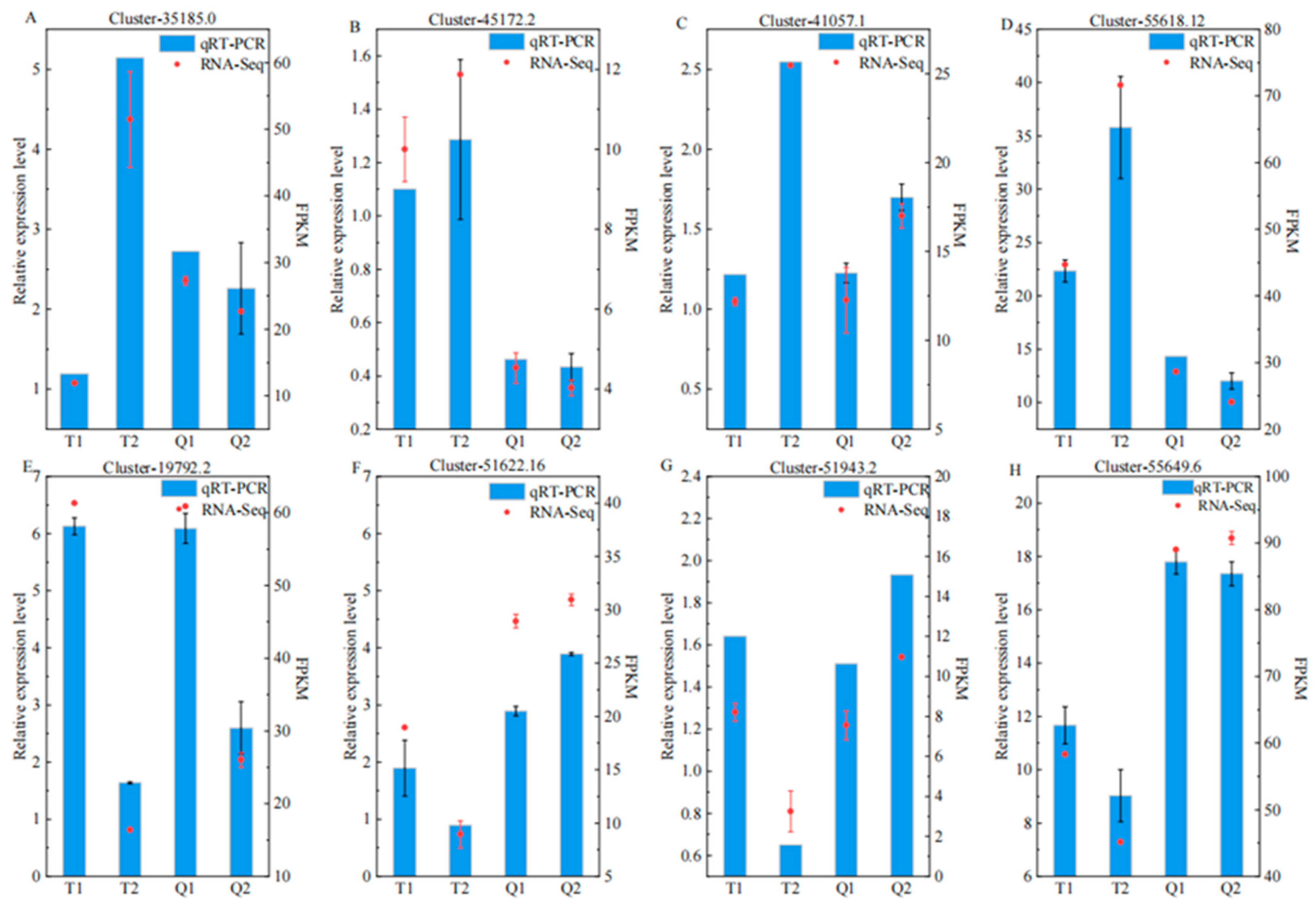 Agronomy 15 02266 g009