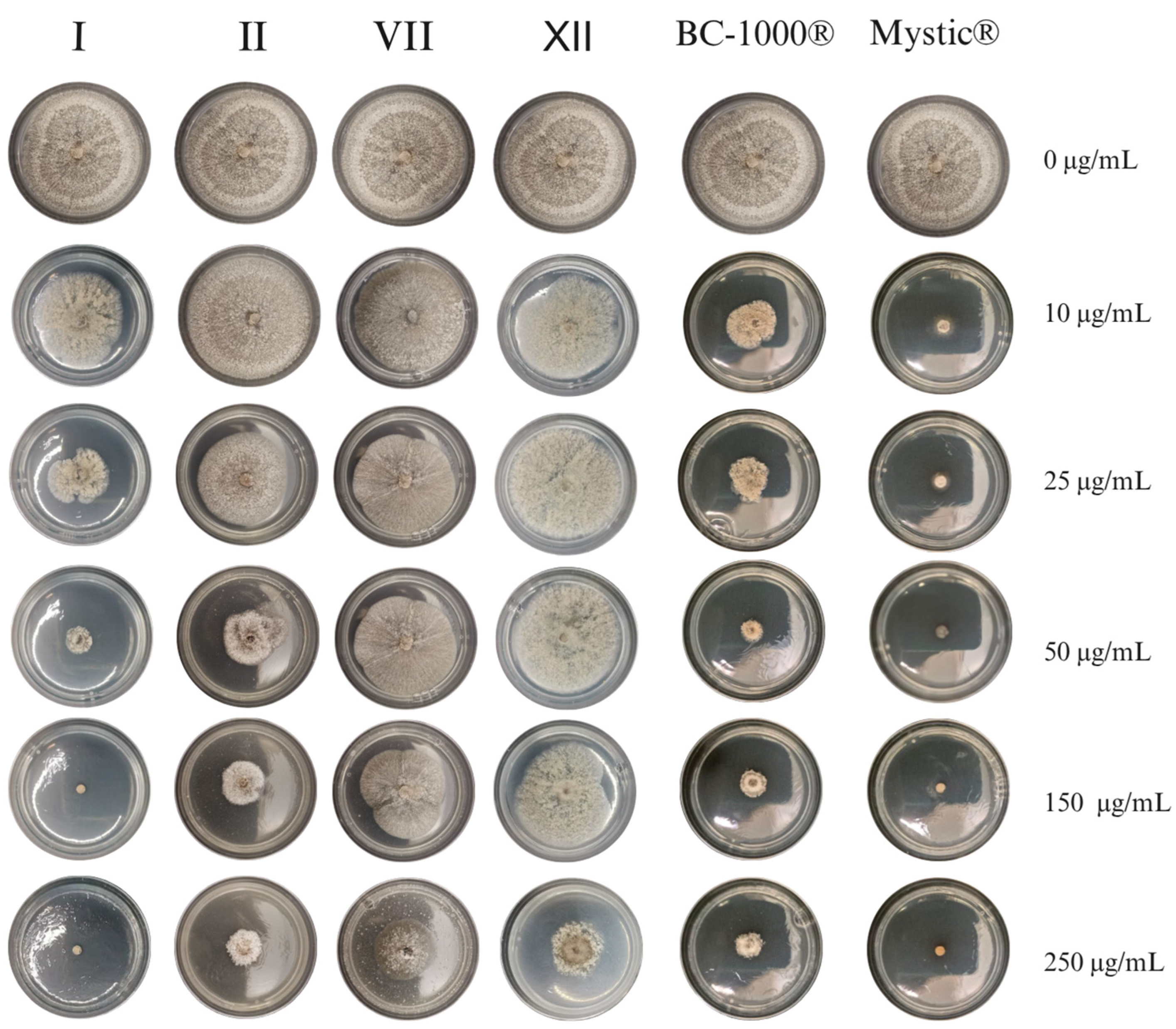 Agronomy 15 02267 g002
