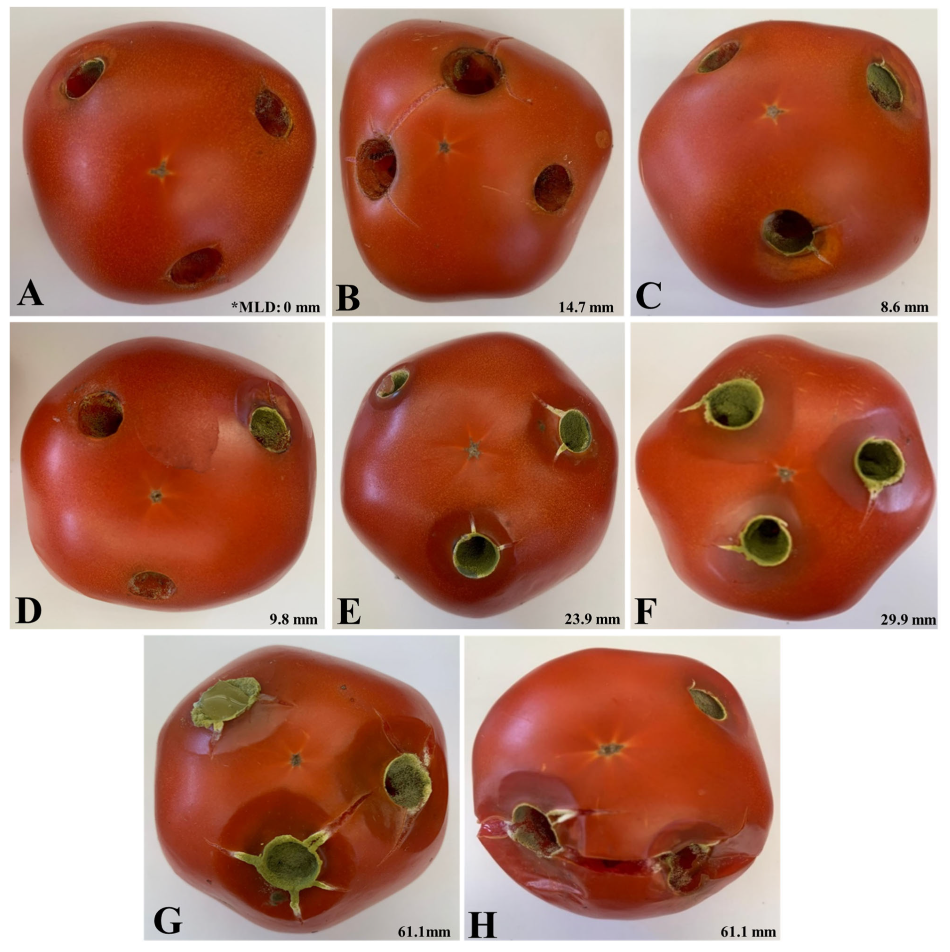 Agronomy 15 02270 g004 Agronomy 15 02270 g004