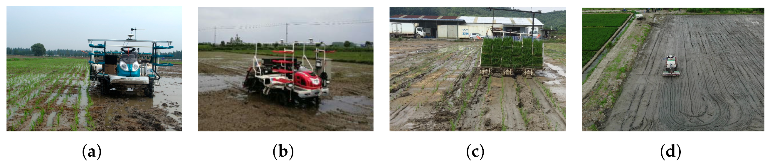 Agronomy 15 02274 g017