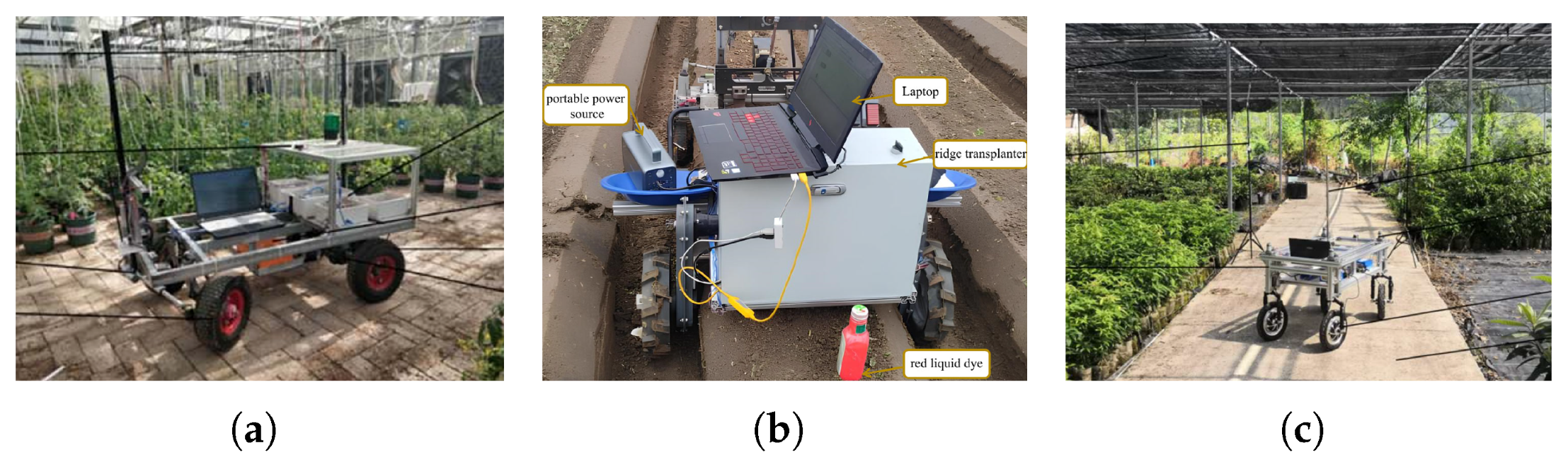 Agronomy 15 02274 g019