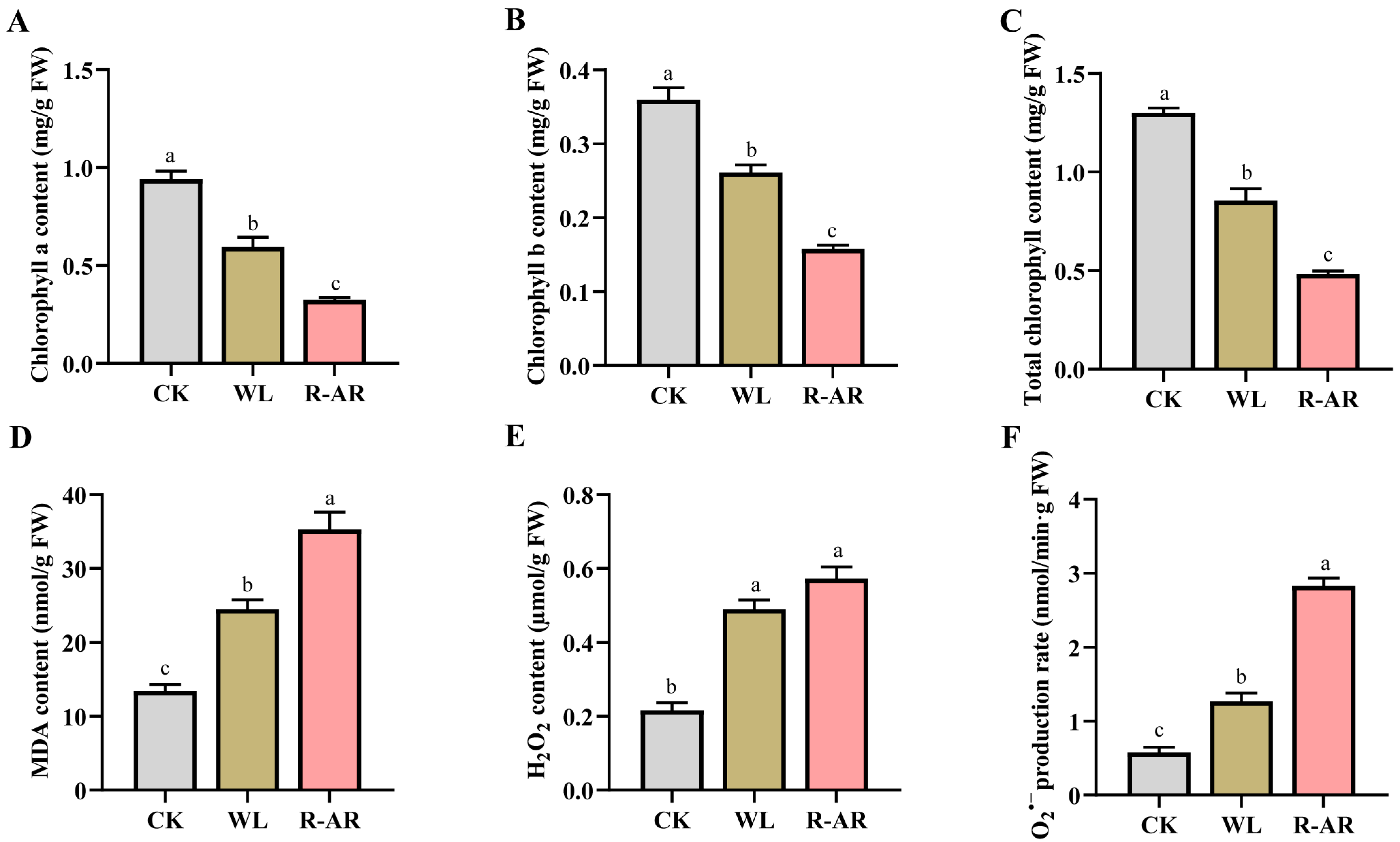 Agronomy 15 02281 g001