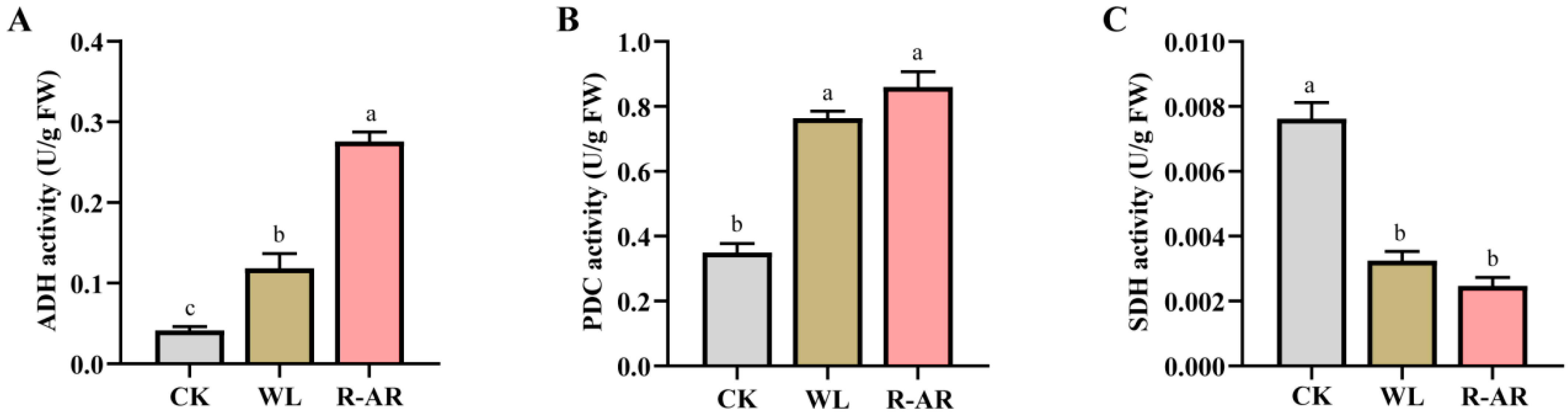 Agronomy 15 02281 g004