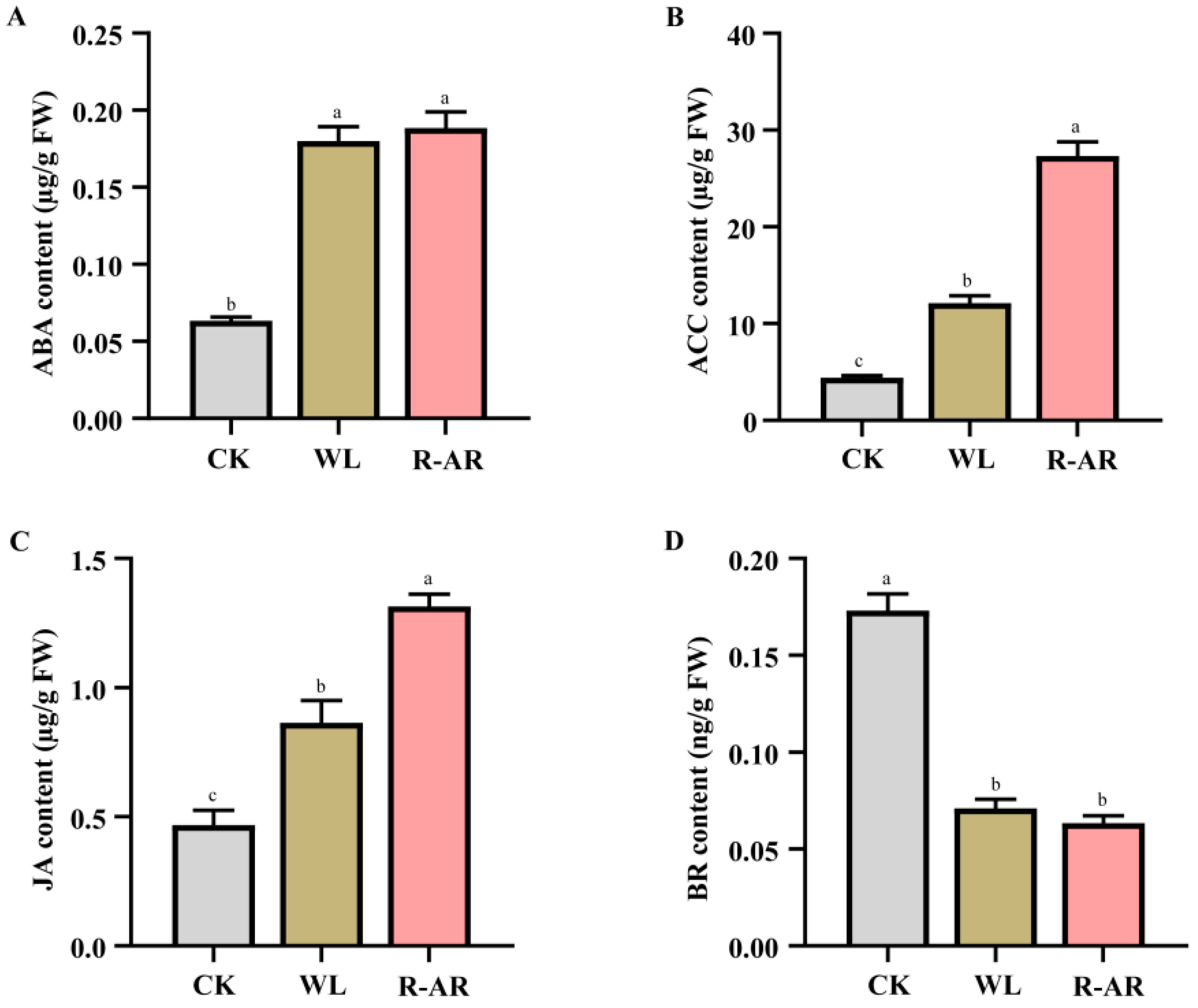 Agronomy 15 02281 g006
