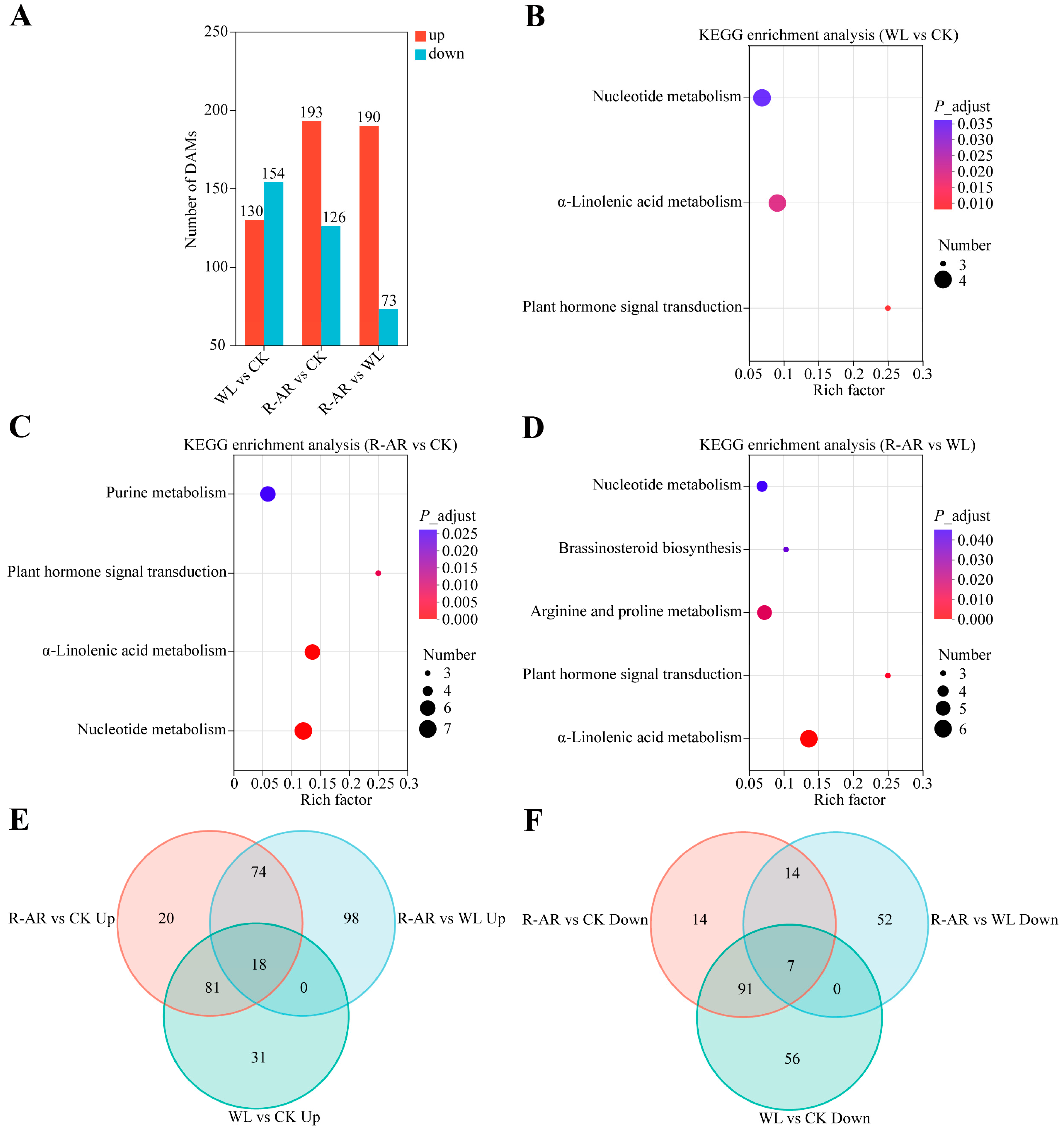 Agronomy 15 02281 g008