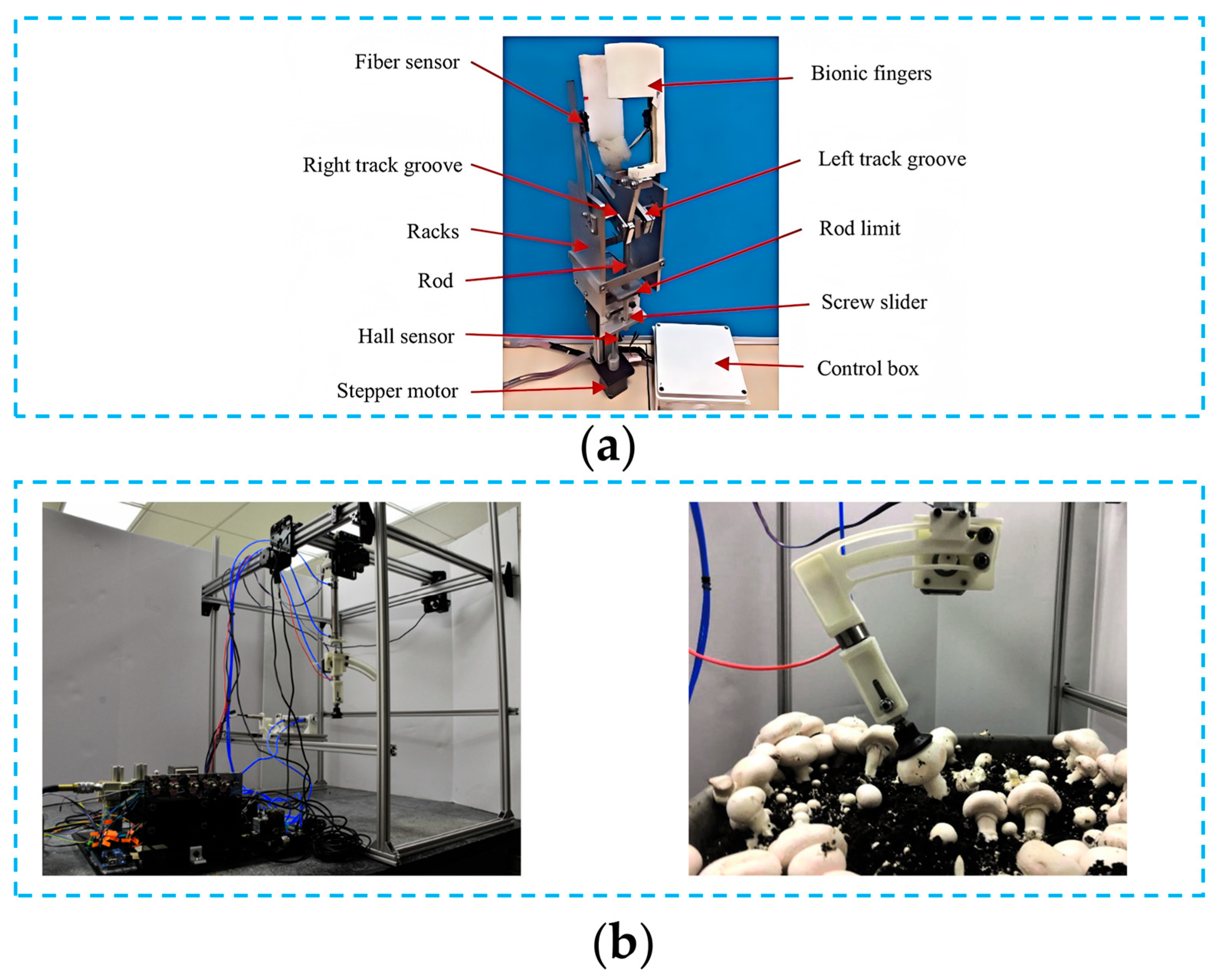 Agronomy 15 02283 g005 Agronomy 15 02283 g005
