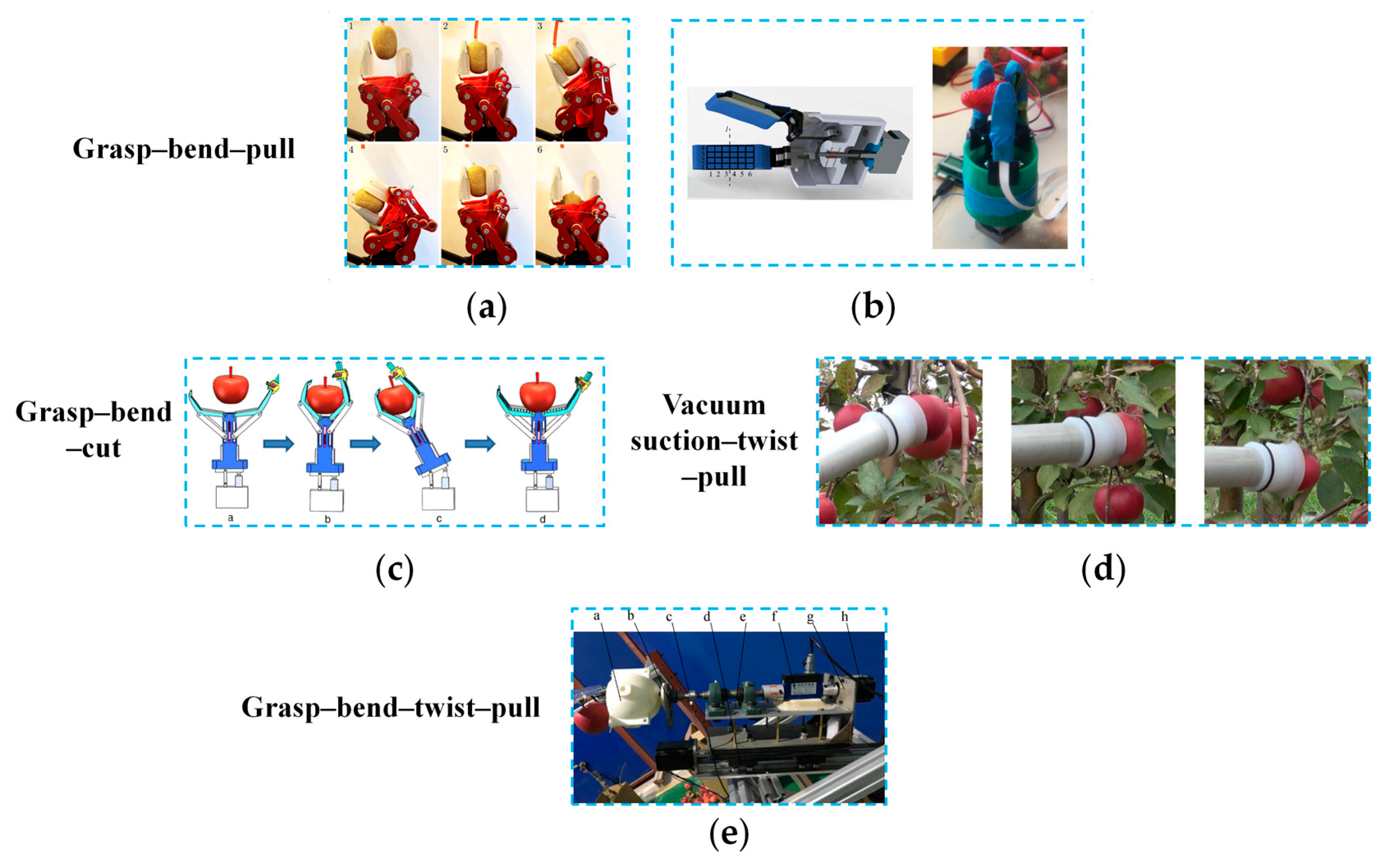 Agronomy 15 02283 g007 Agronomy 15 02283 g007