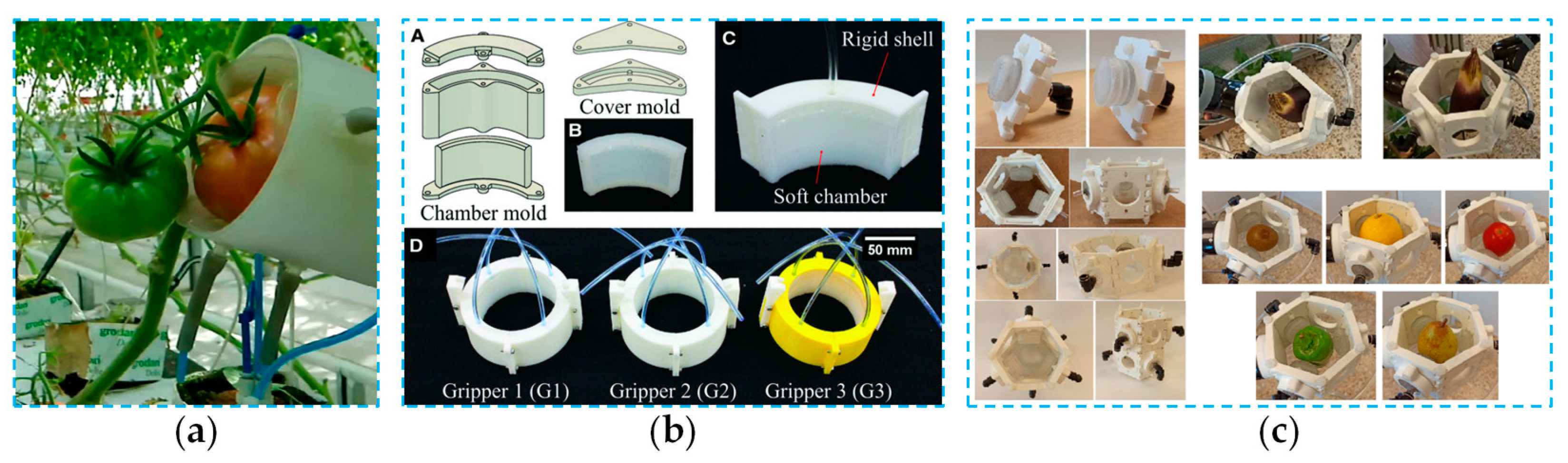Agronomy 15 02283 g008 Agronomy 15 02283 g008