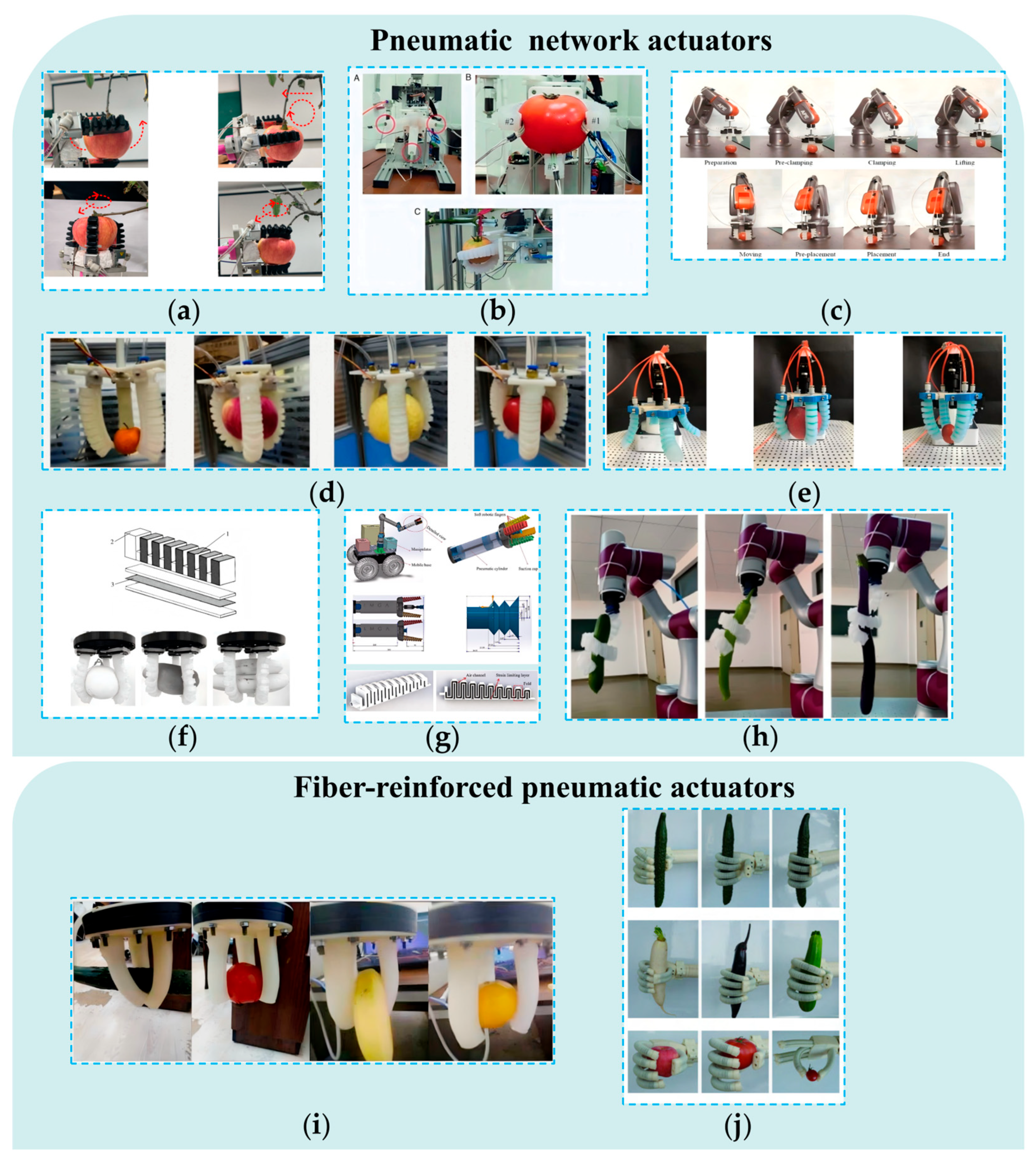 Agronomy 15 02283 g009 Agronomy 15 02283 g009