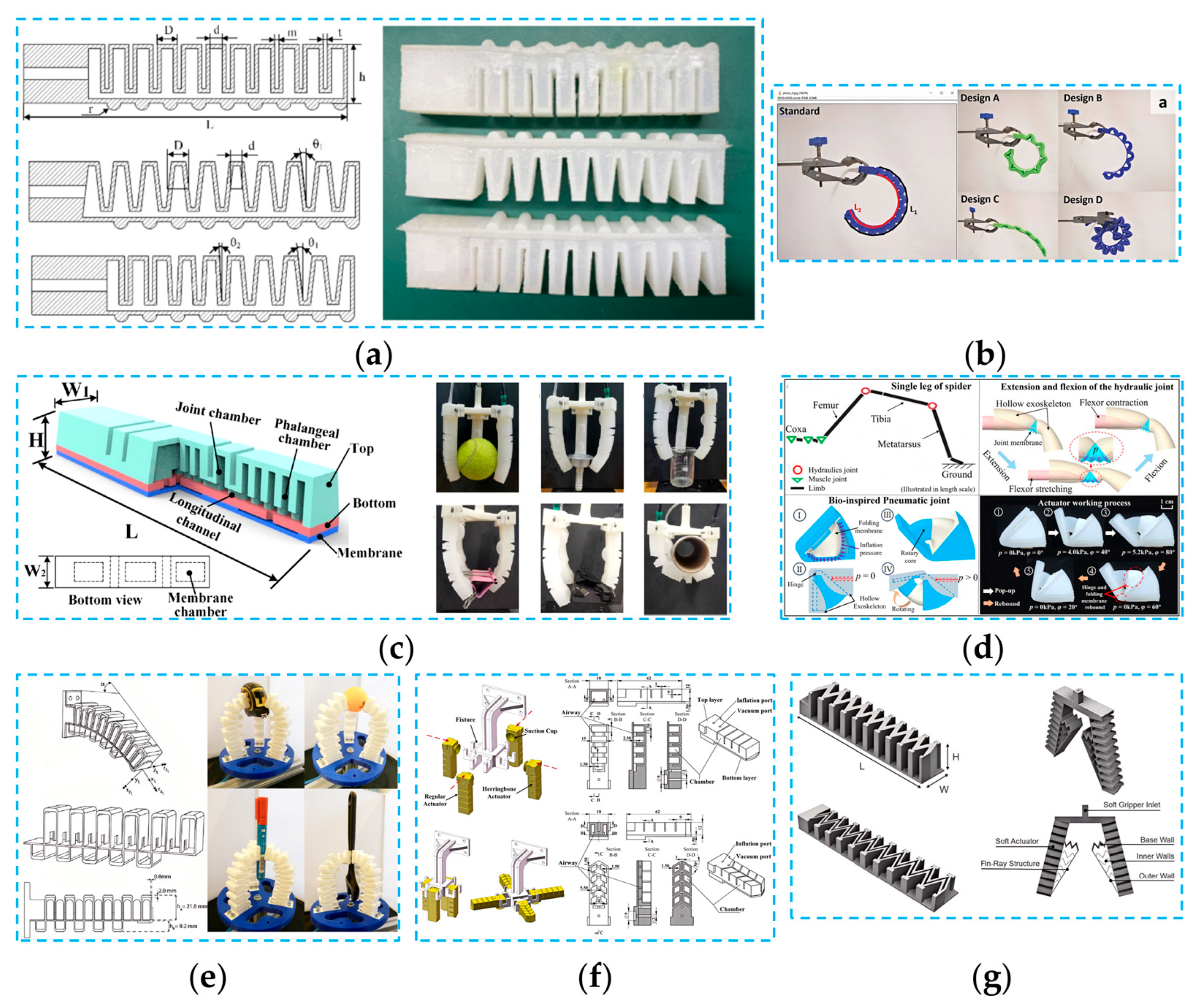 Agronomy 15 02283 g010 Agronomy 15 02283 g010