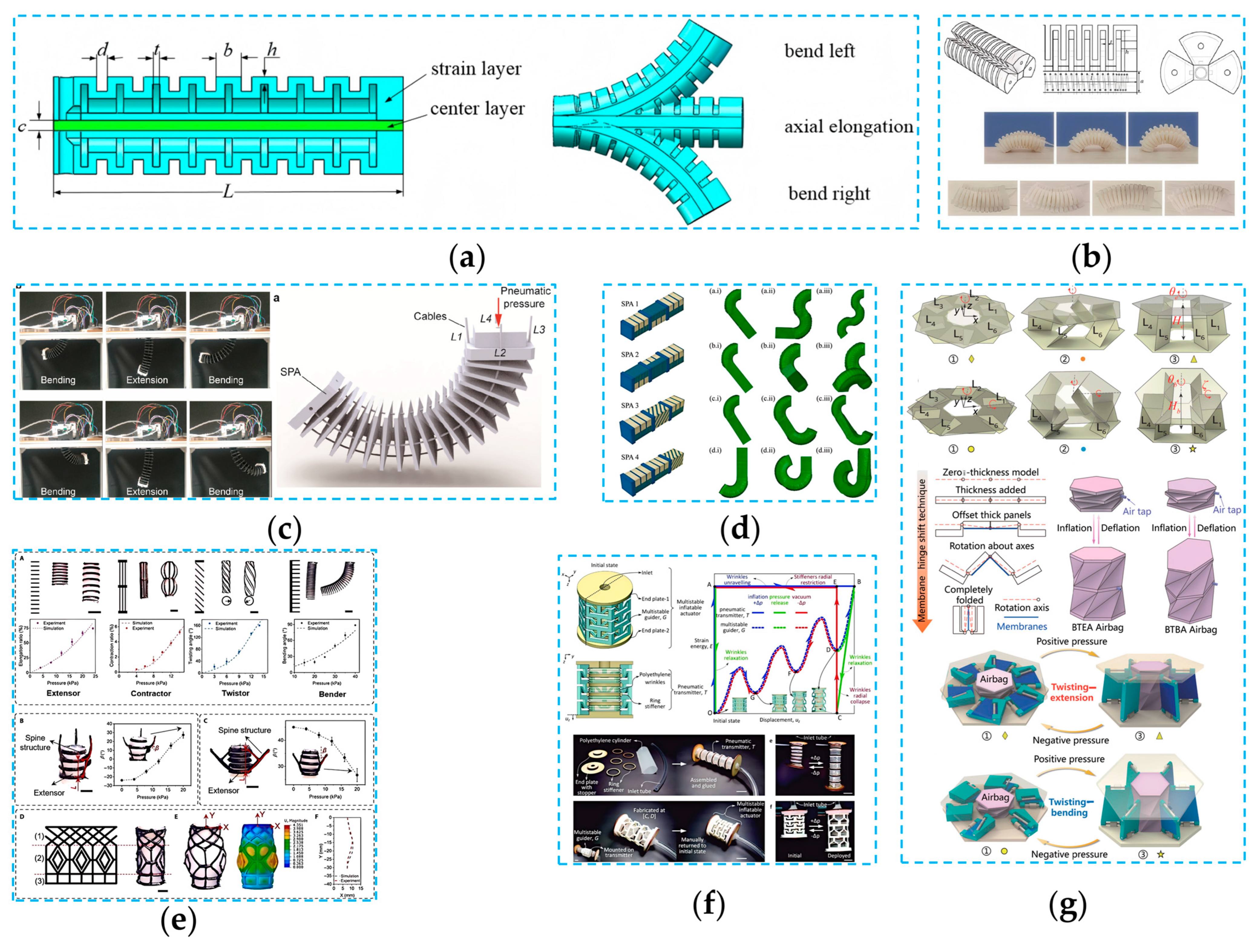 Agronomy 15 02283 g011 Agronomy 15 02283 g011